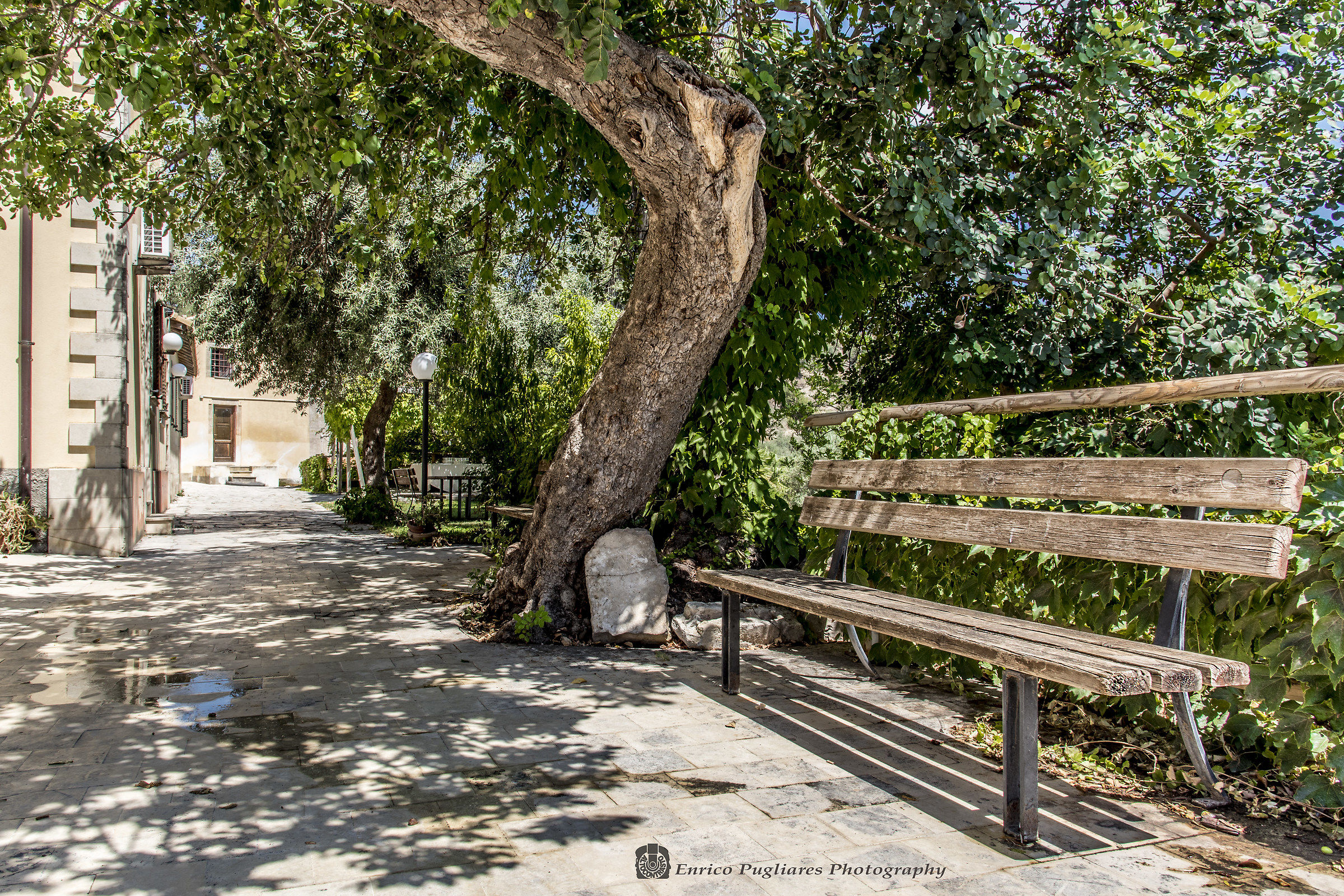 Dilemma..... Fotografare o Sedersi?