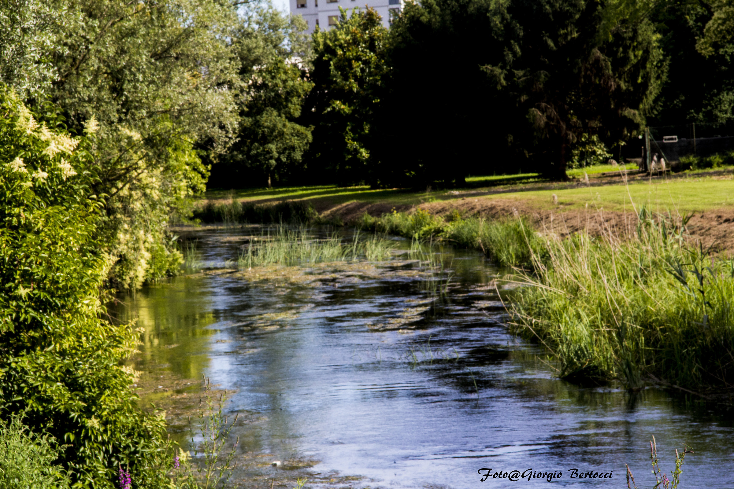 River cagnolizza (ud)