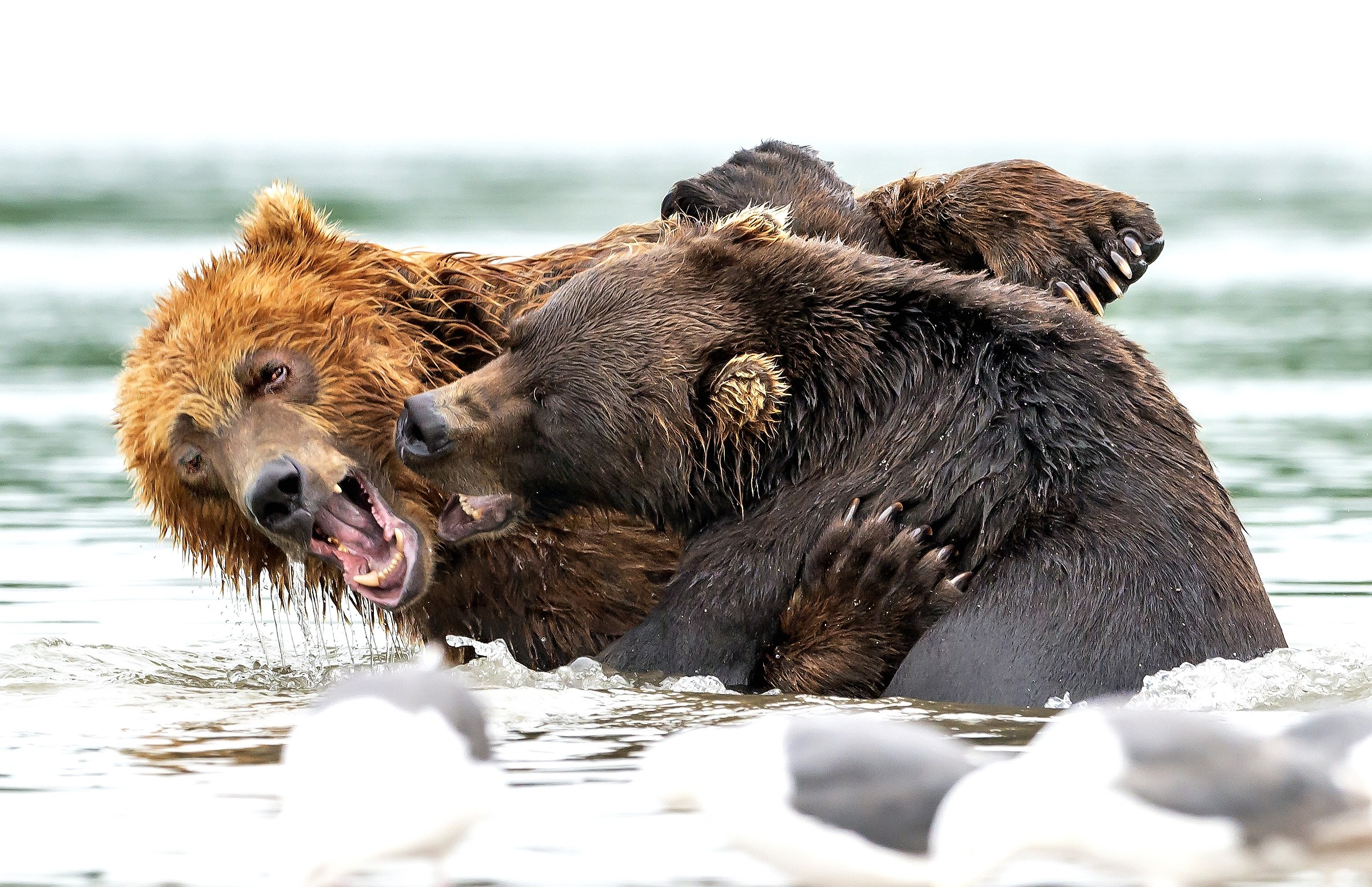 Kamchatka 2016 - Giochi sul lago