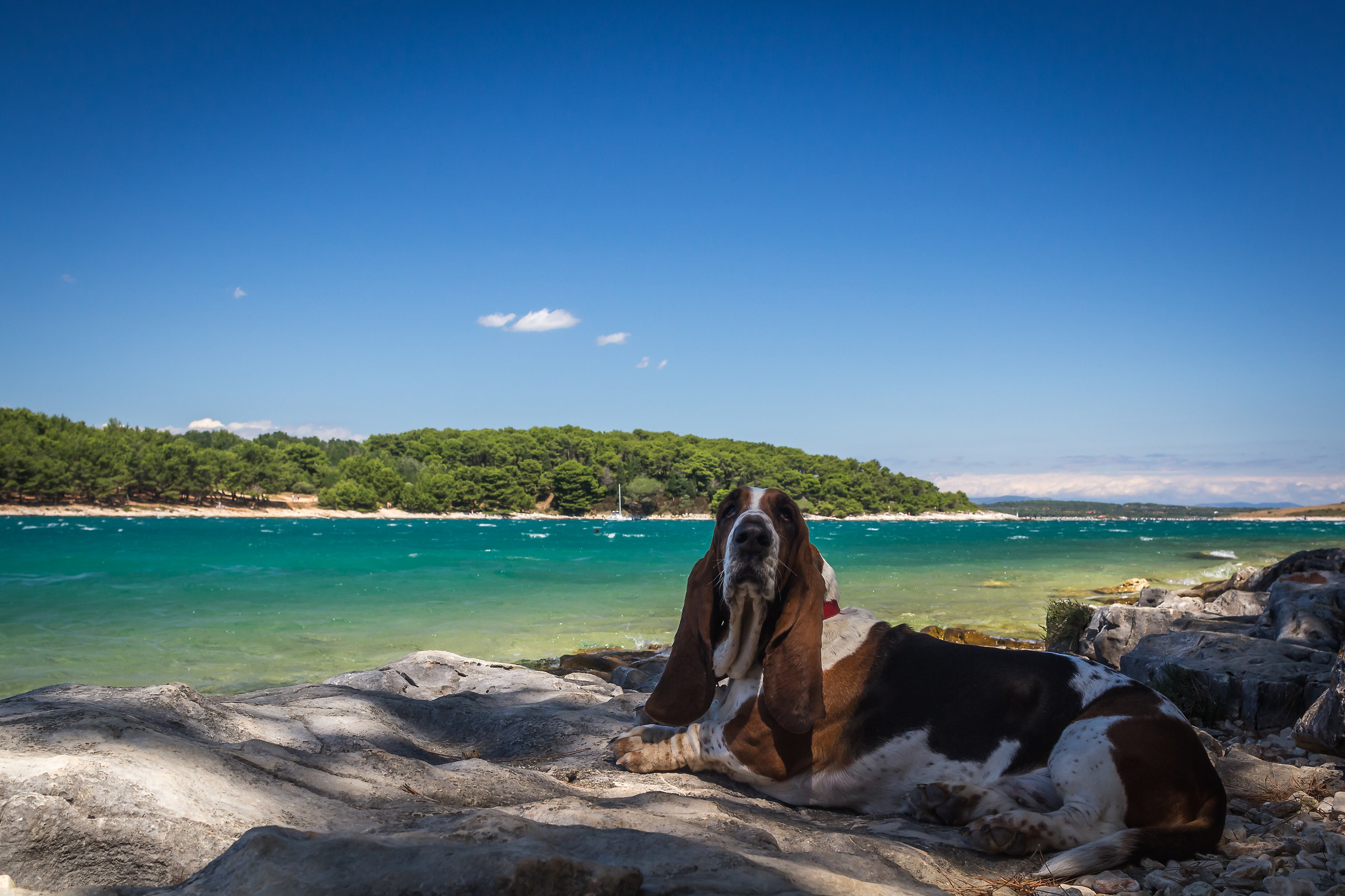 Maddie al mare (Kamenjak - Spiaggia Portic)