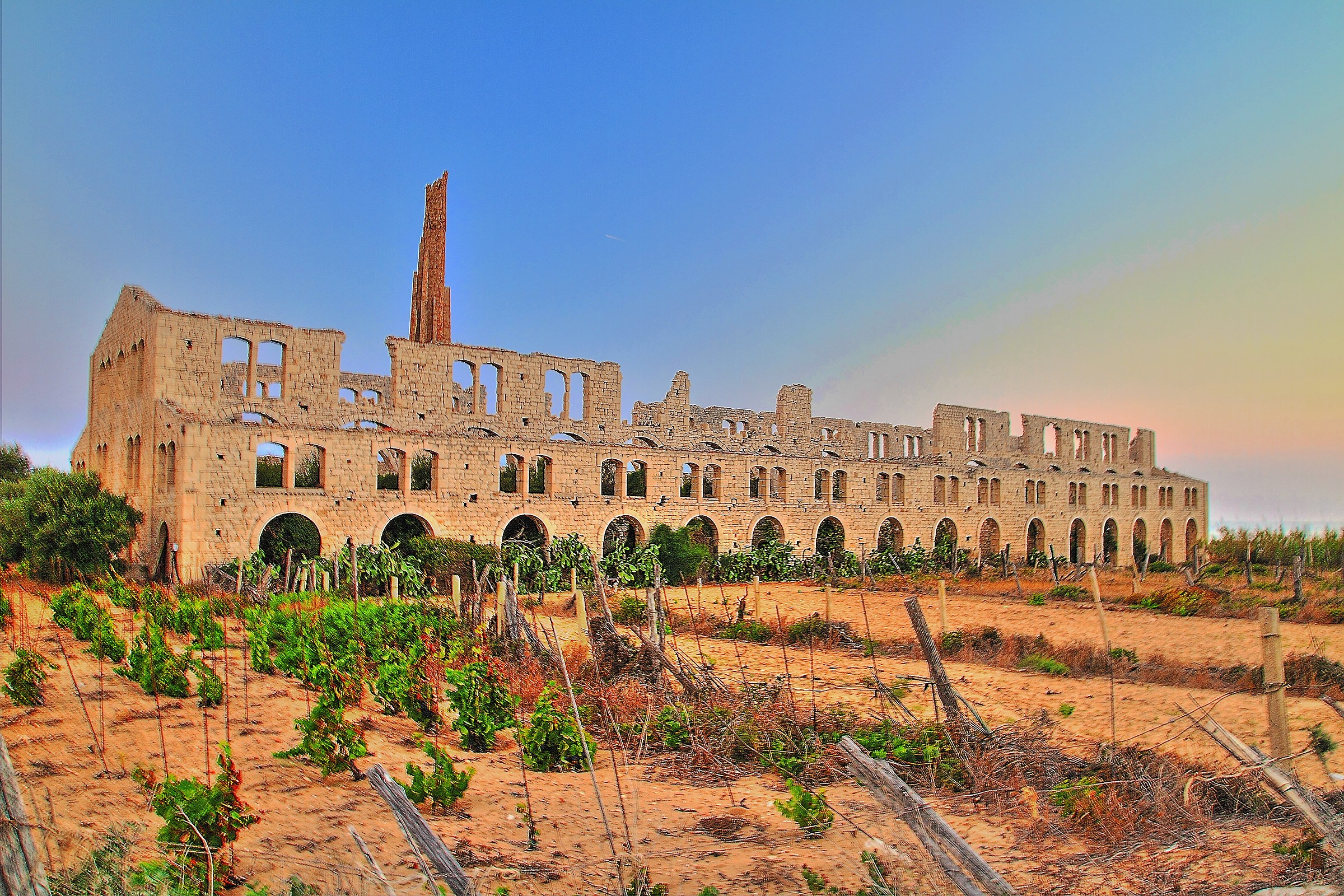 wer to the montalbano