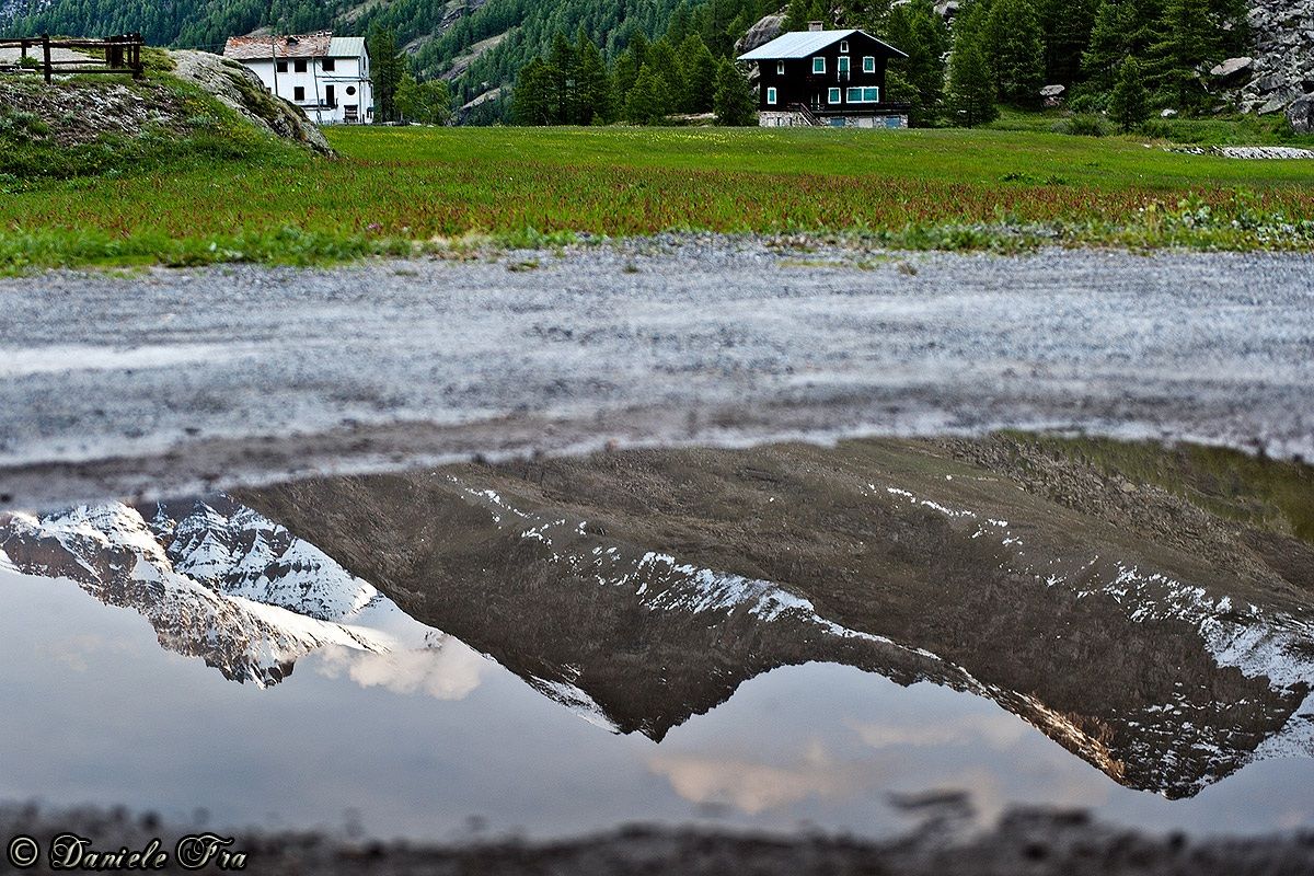 Riflessi nella pozzanghera.
