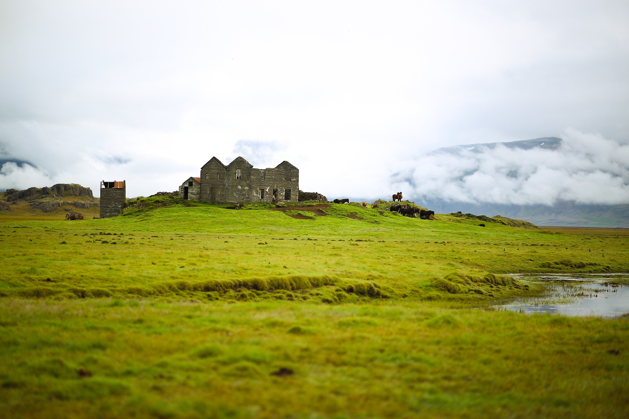 Casa con cavalli in Islanda