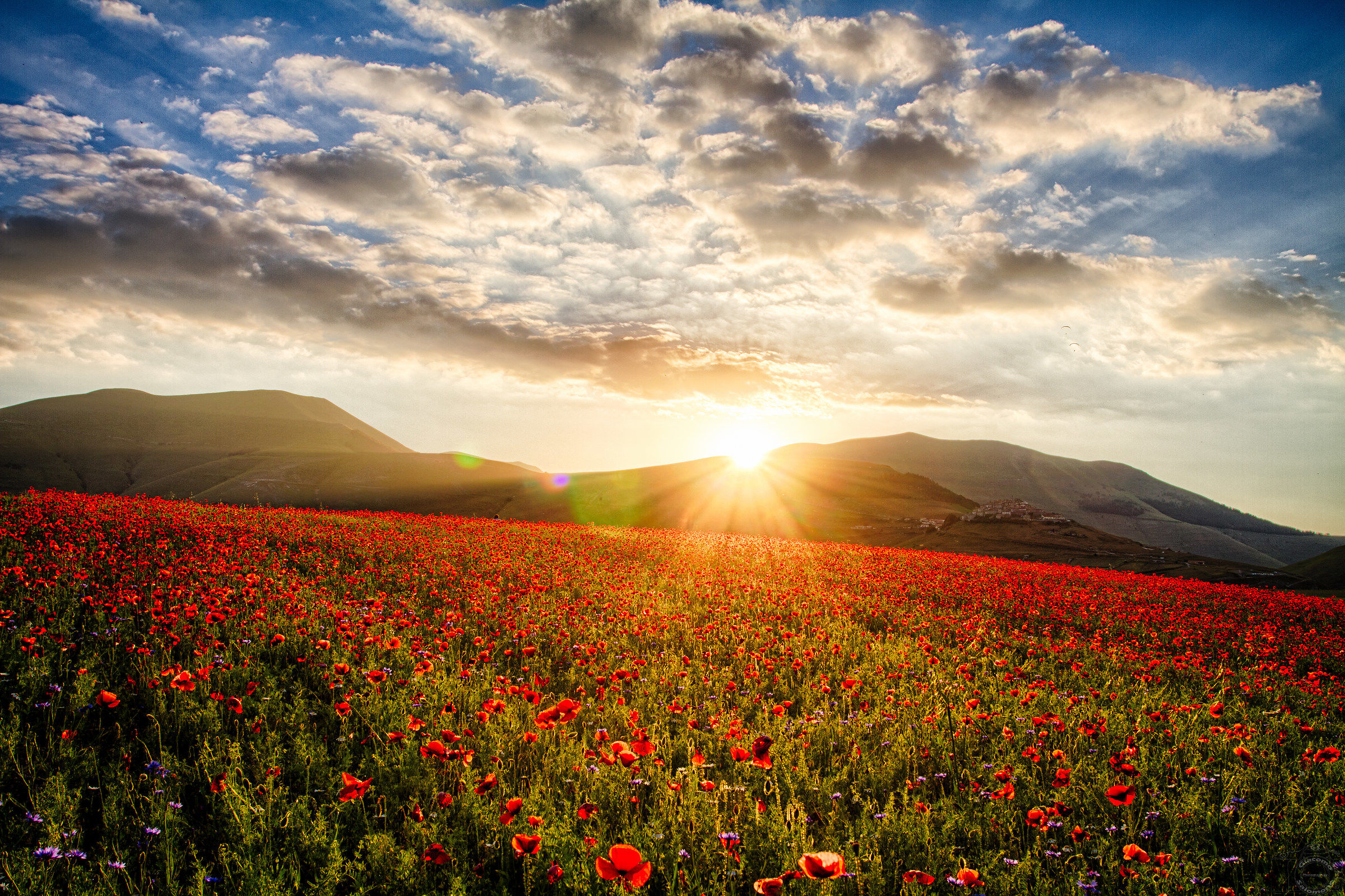 Sunset on the flowering of Castelluccio ..