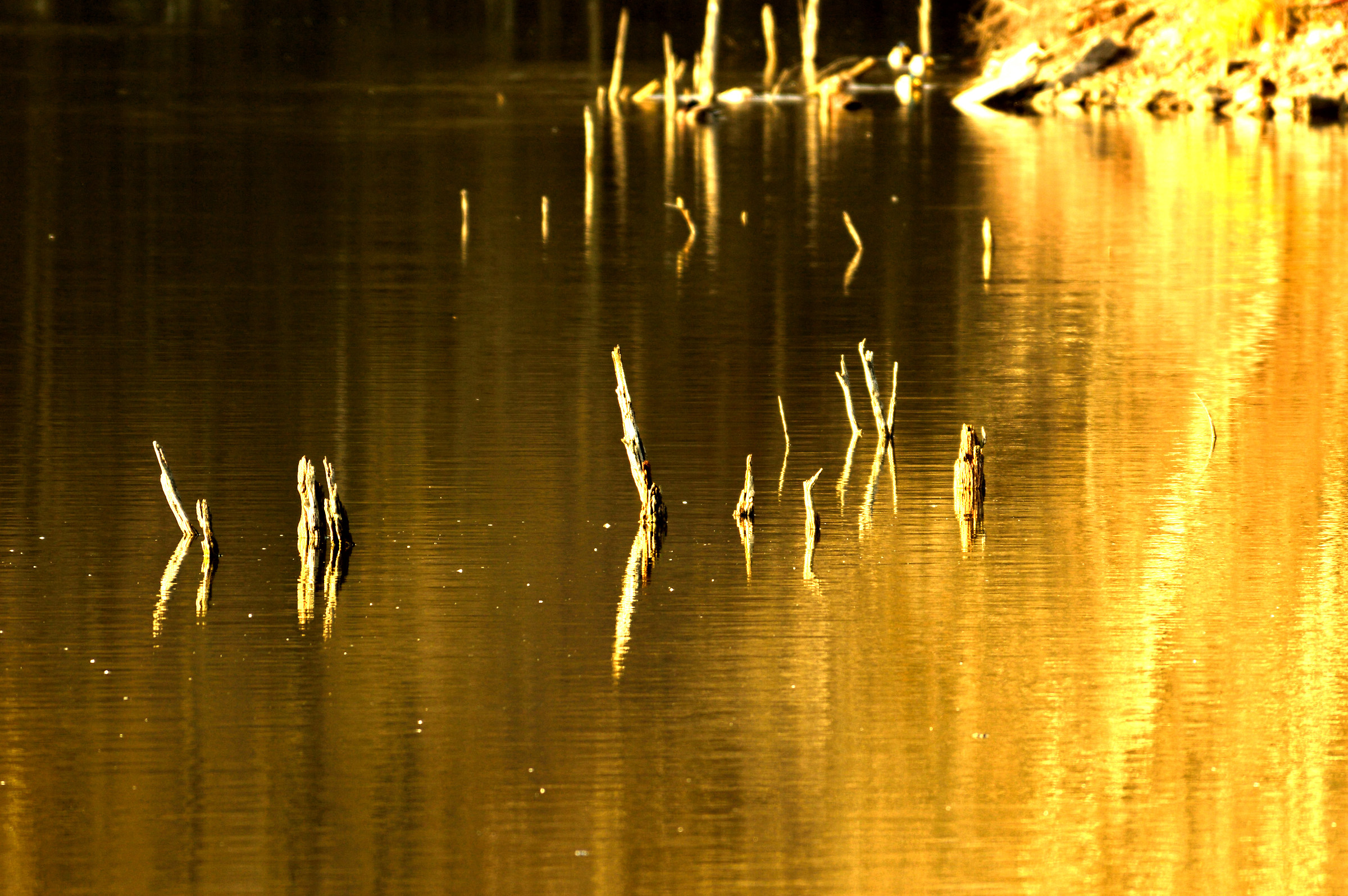 The Bora natural oasis