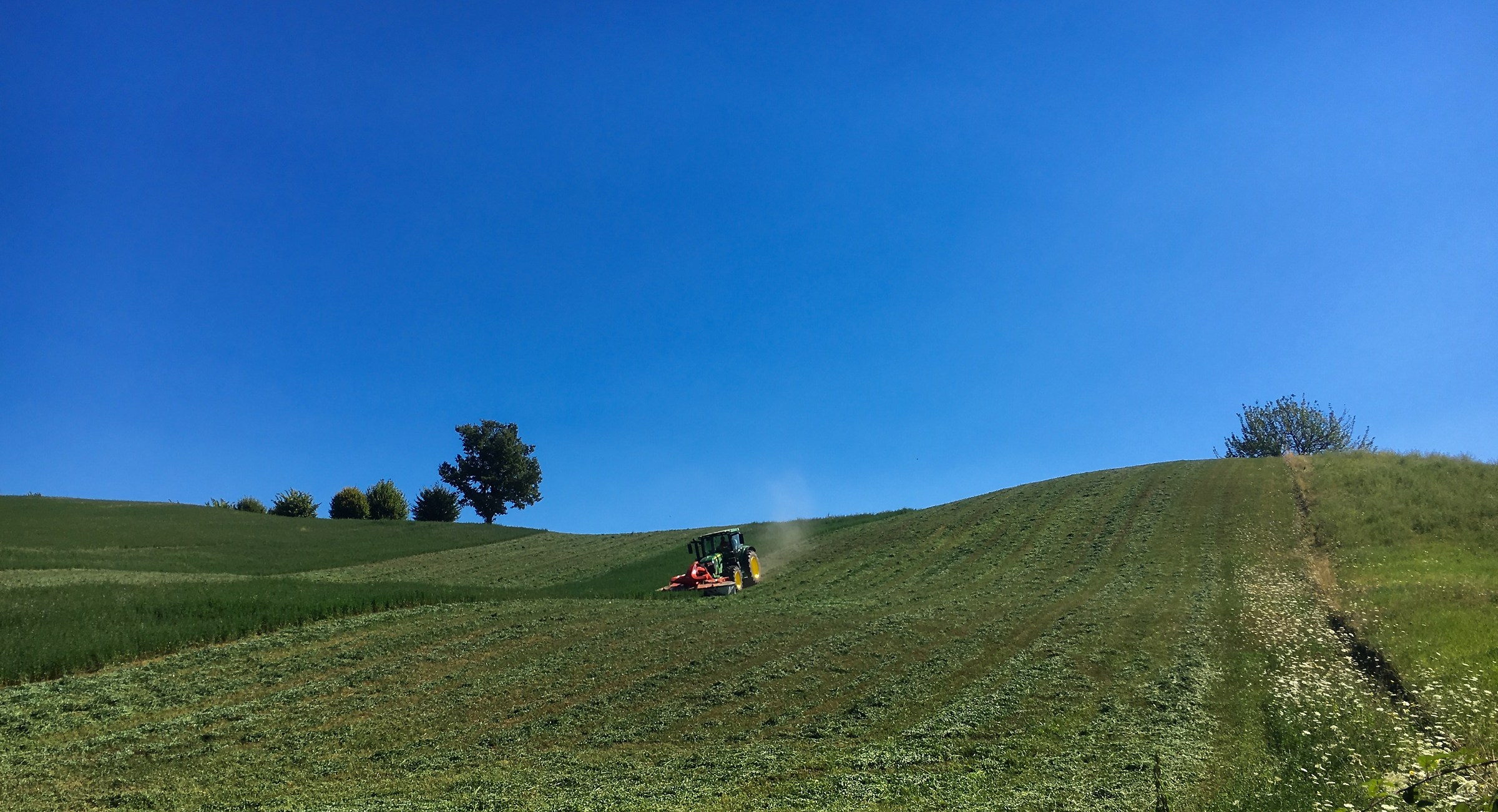 Working in the fields