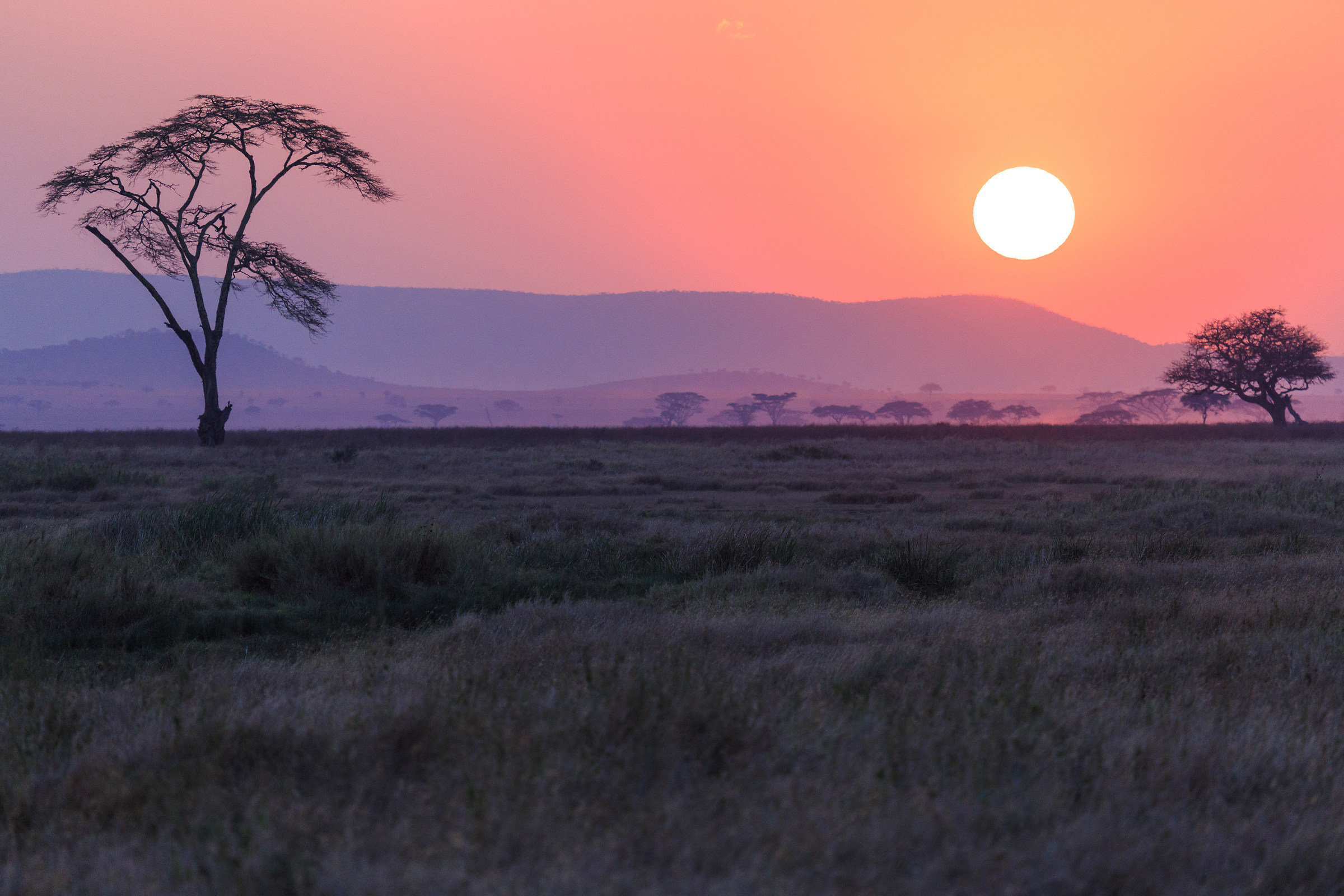tramonto Serengeti