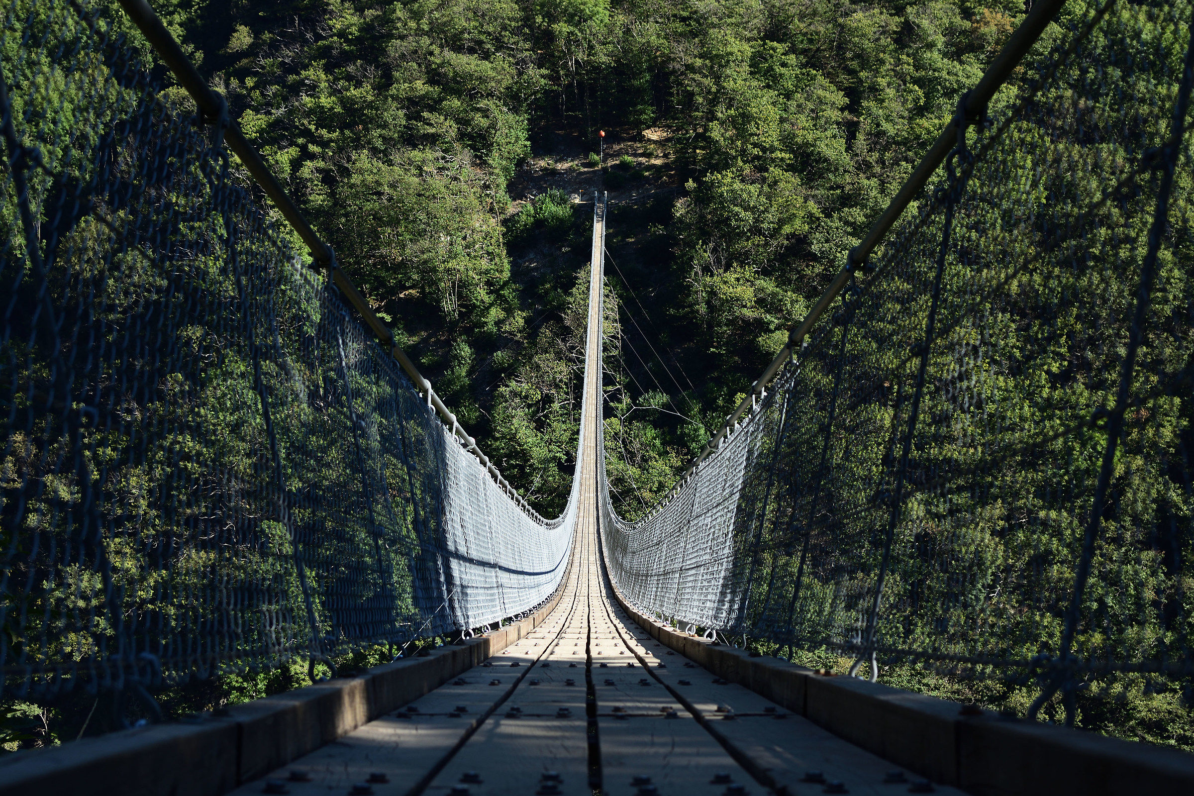 Ponte Tibetano Interno