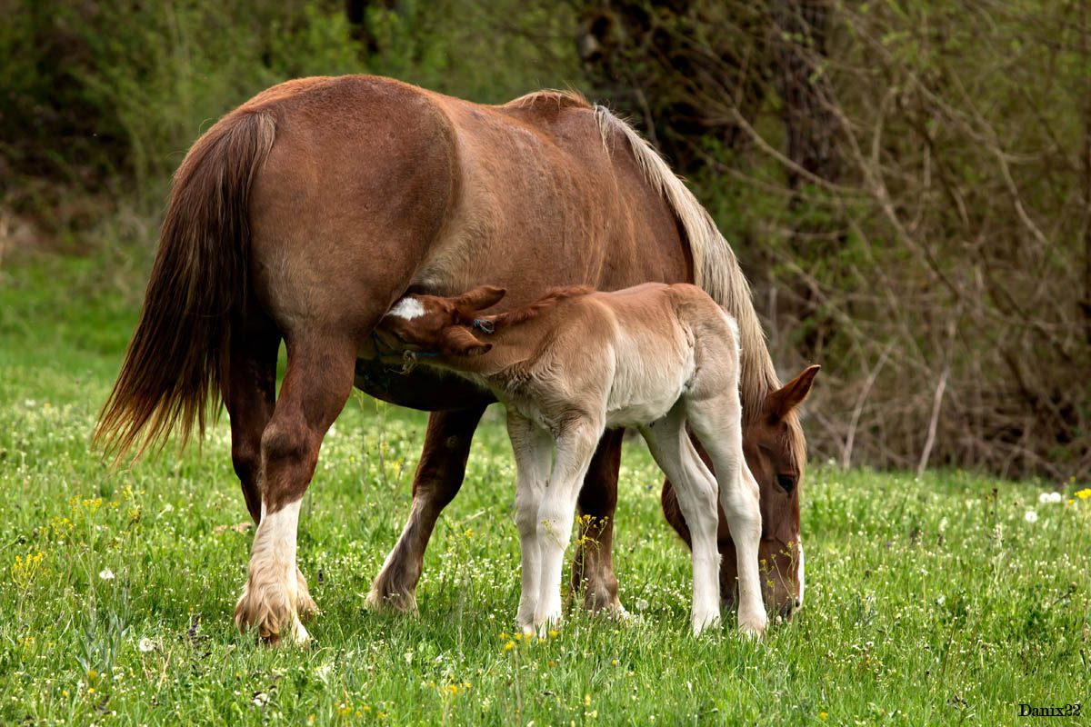 Lo spettacolo della natura