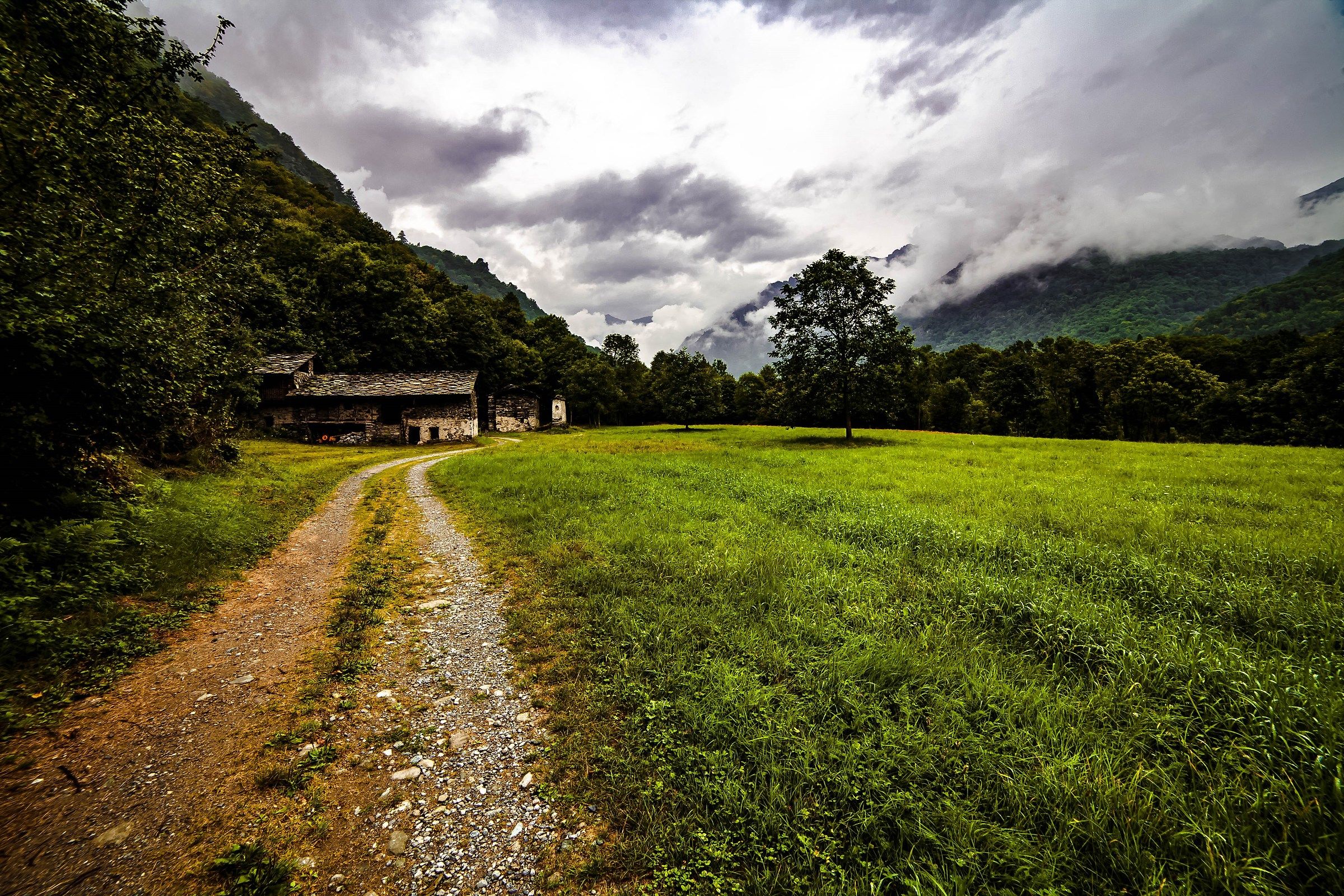 The way to Grassland