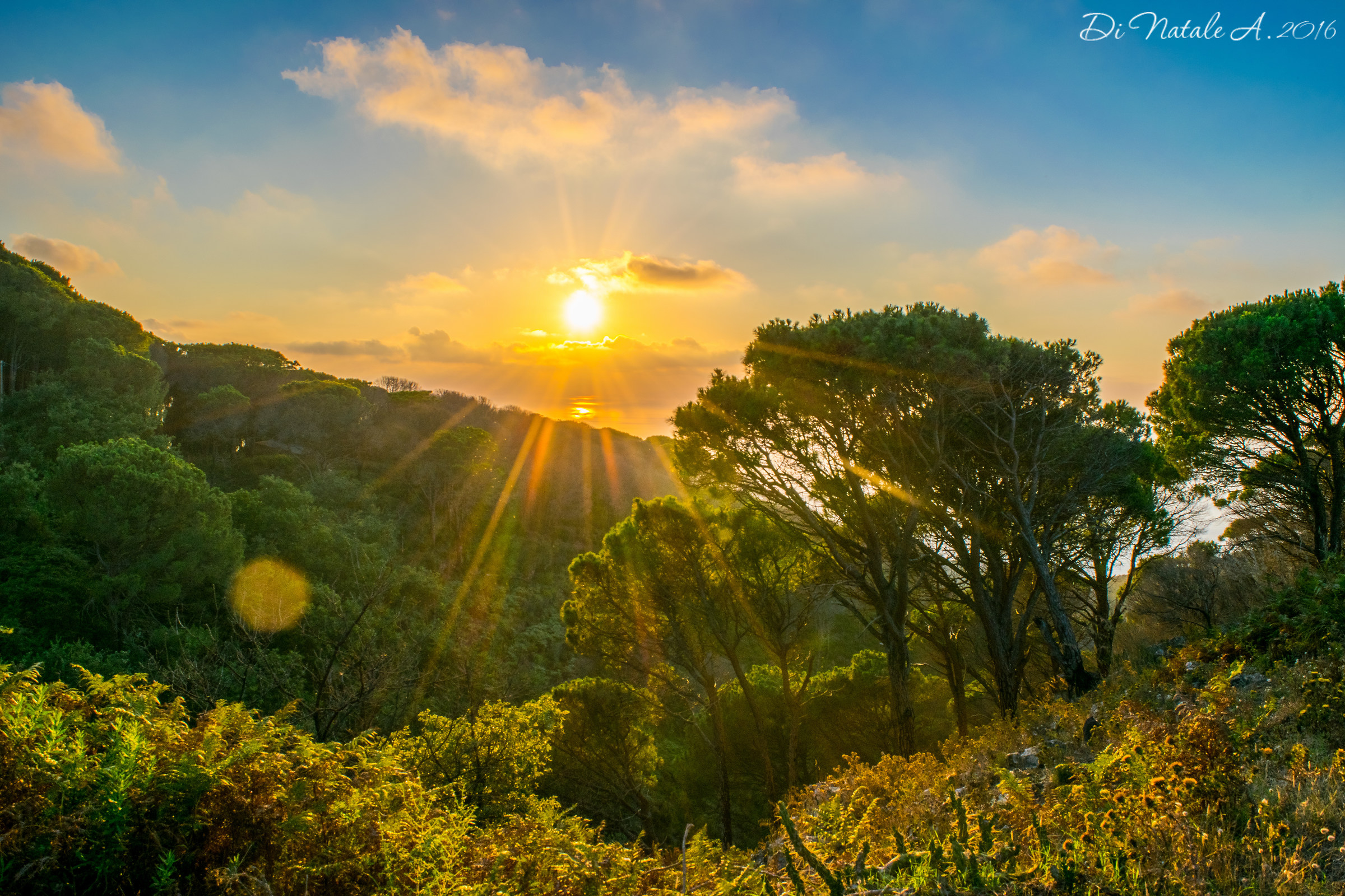 Sicilian glimpse of paradise