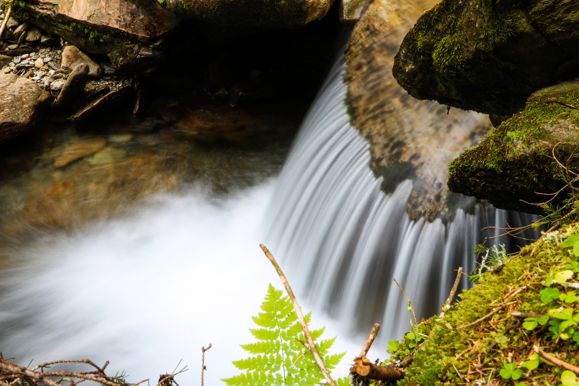 Torrente in Val di Mezzo