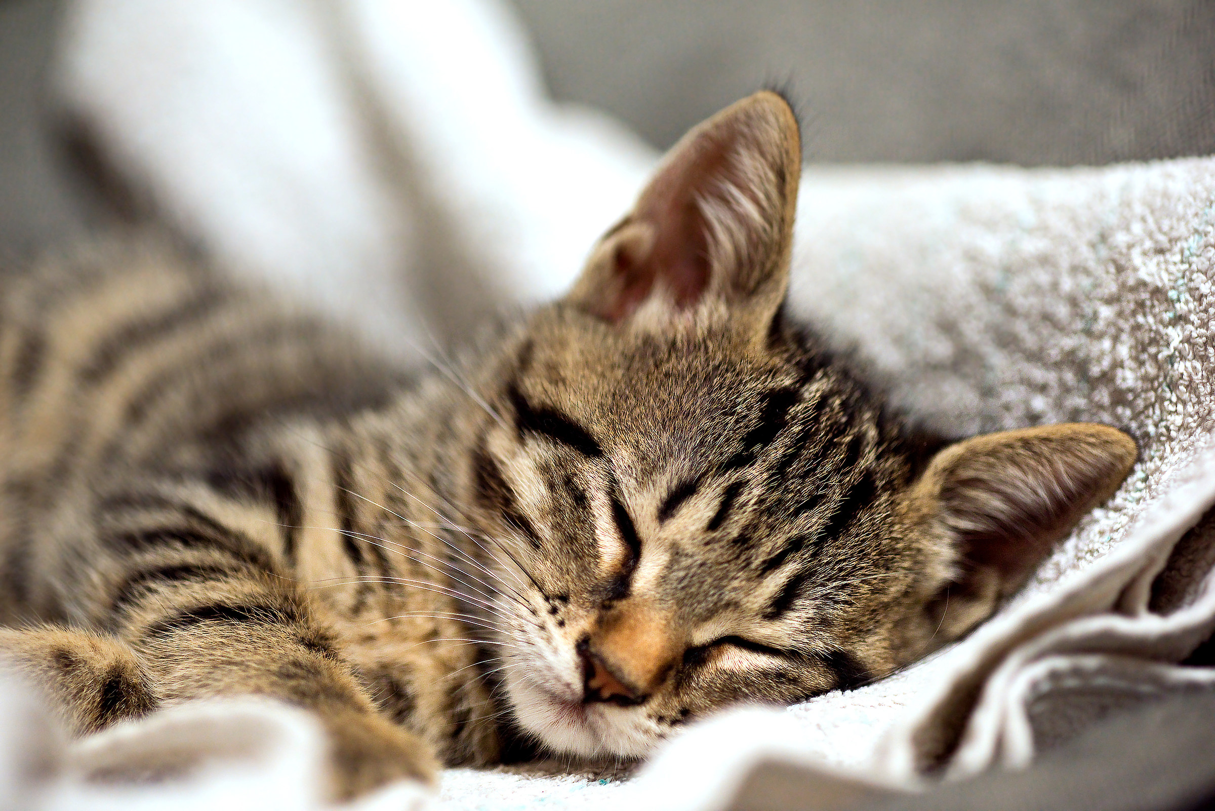 What a difficult life ..