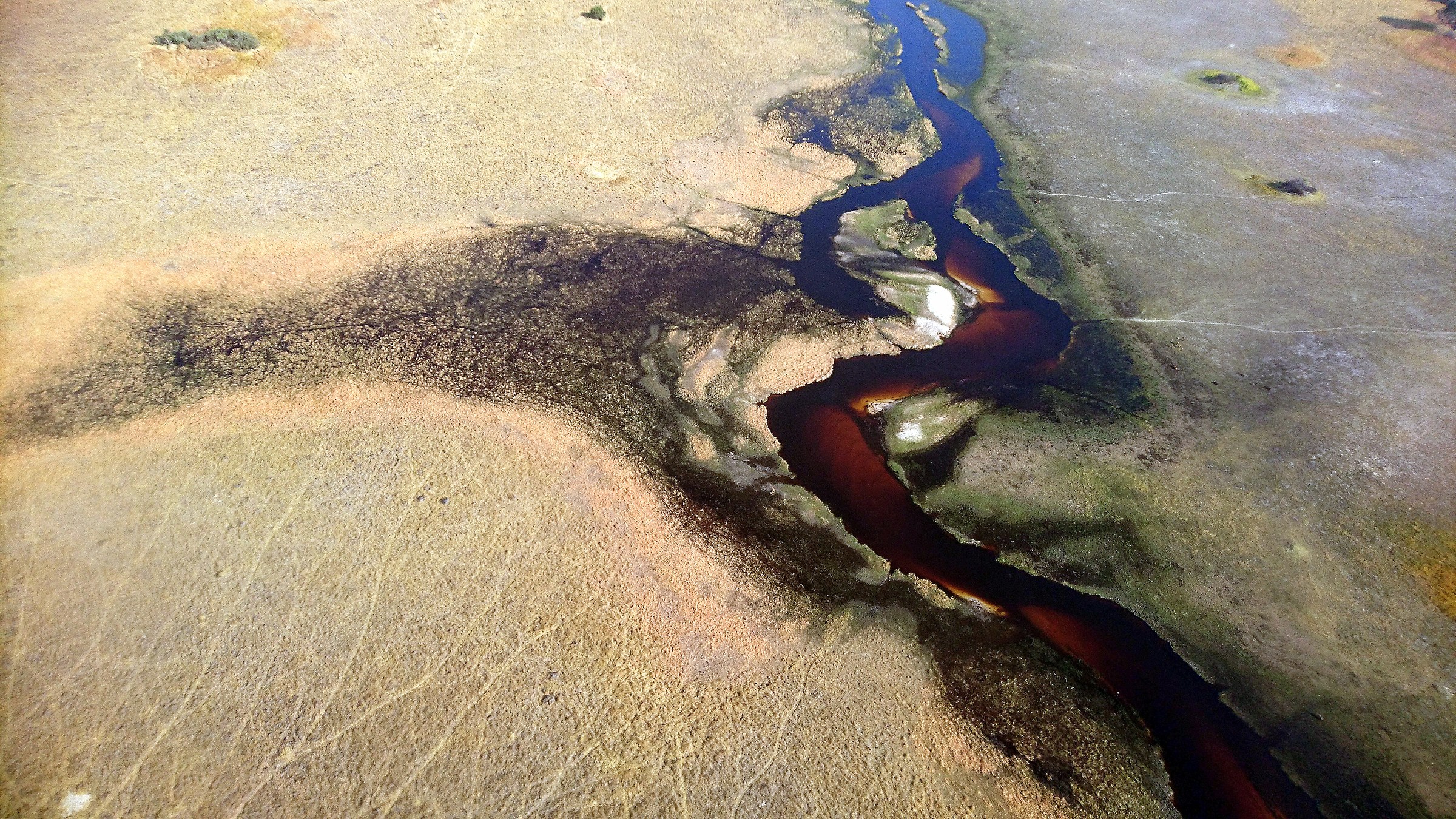 delta dell'okawando1