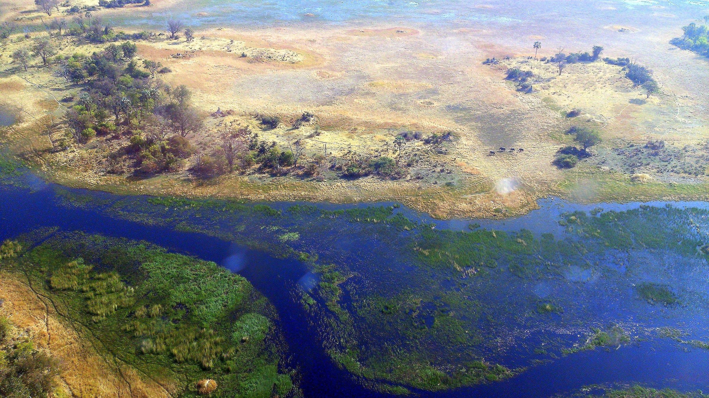 delta dell'okawando3