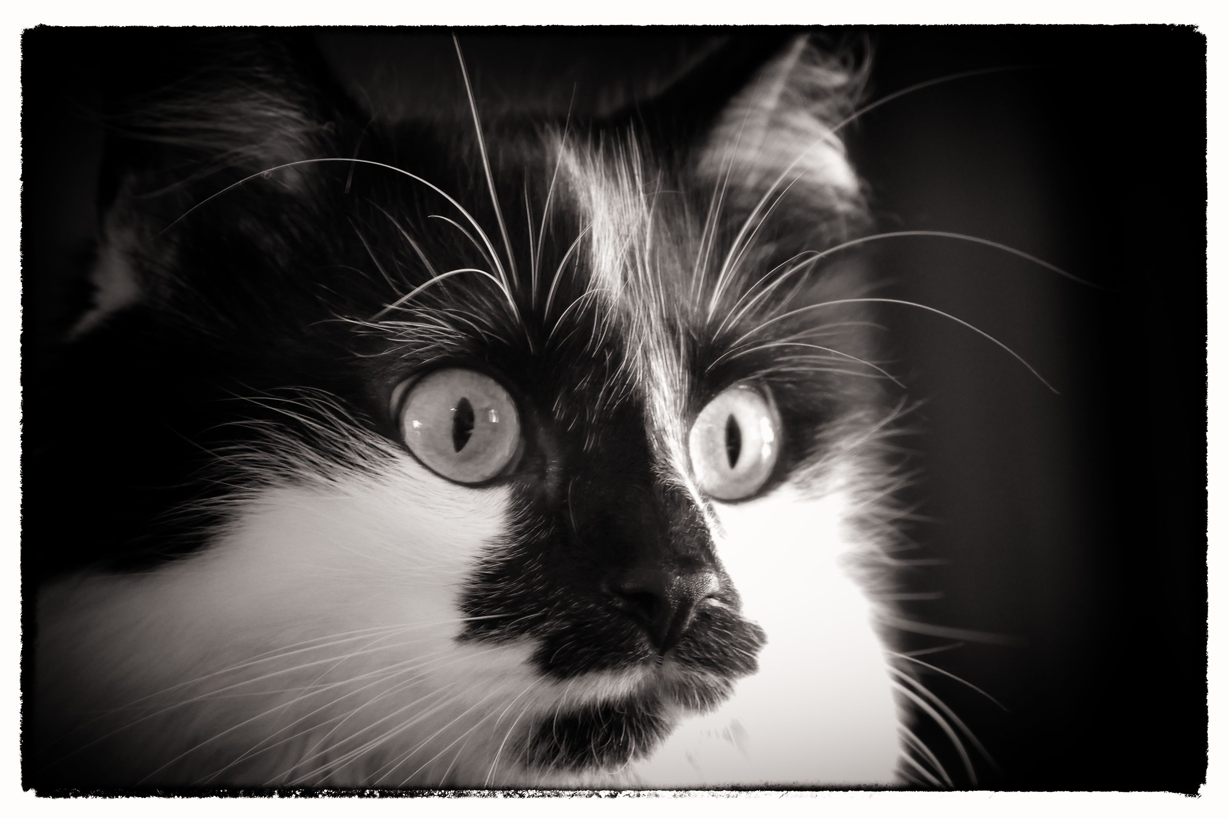 non ci posso credere!!!