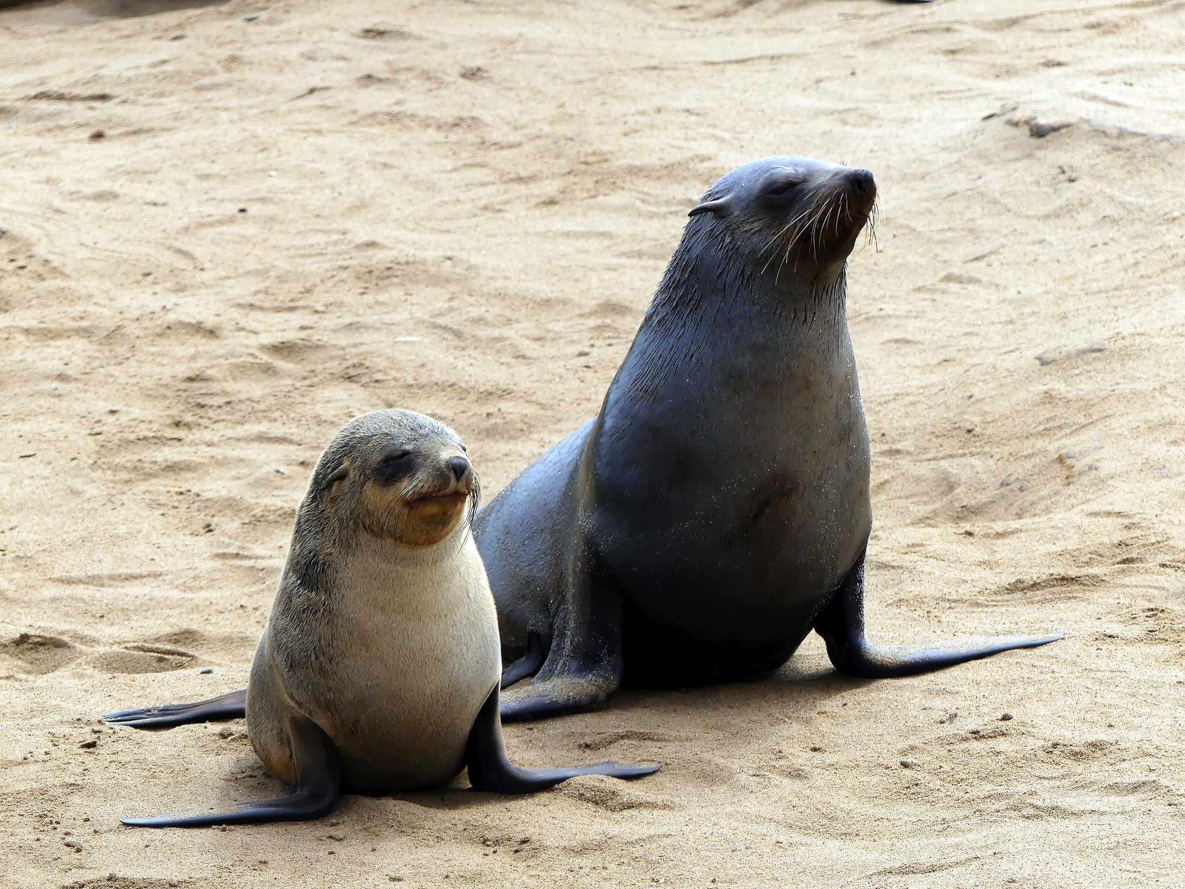 la mamma e' sempre la mamma