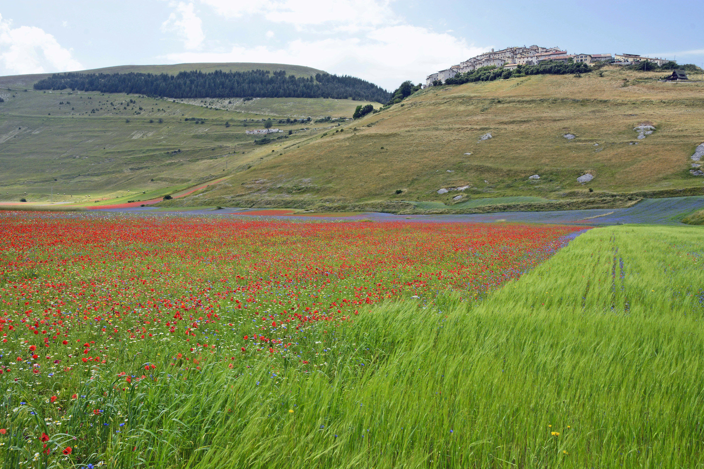 Castelluccio before the earthquake in 2016