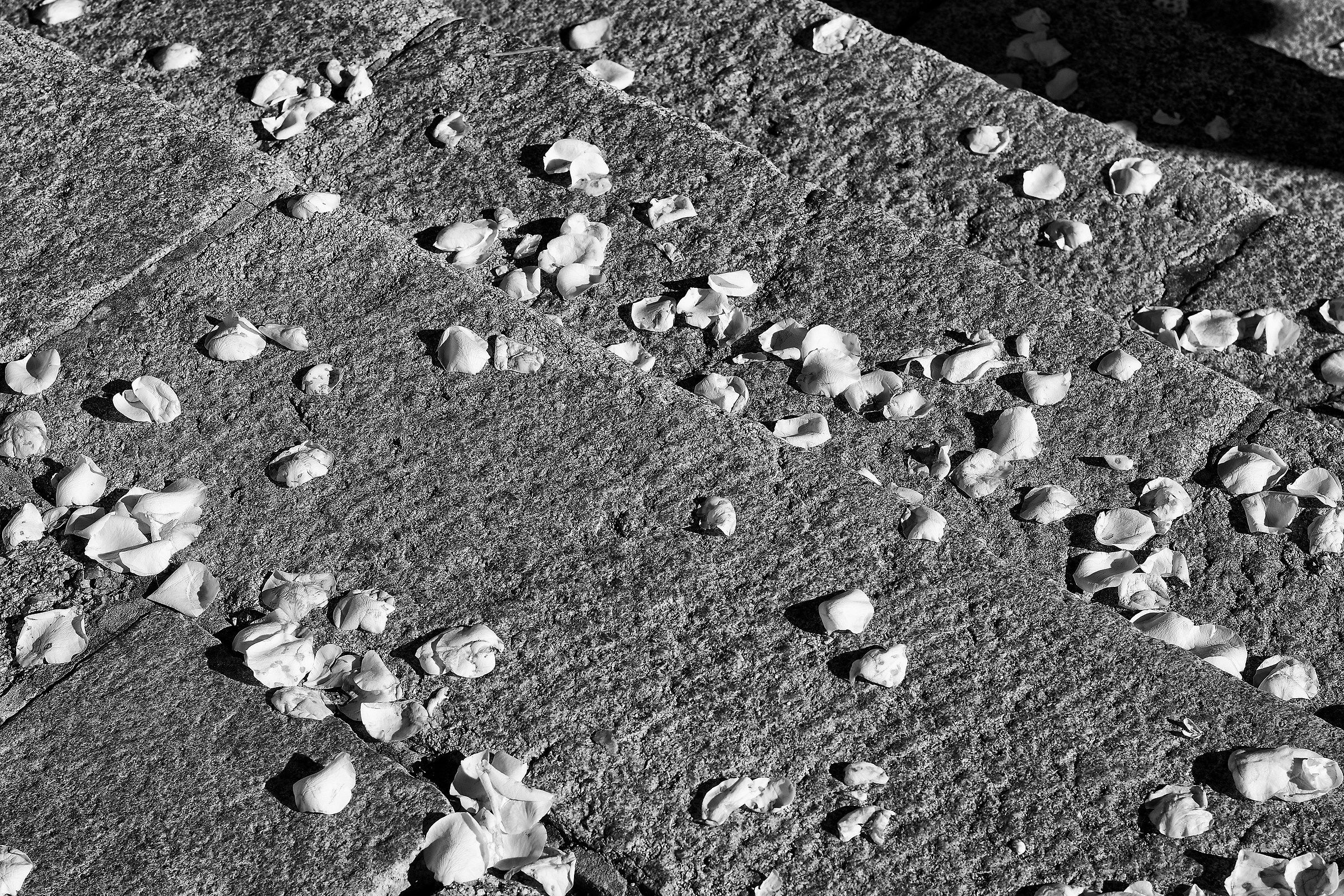 Long live the bride and groom