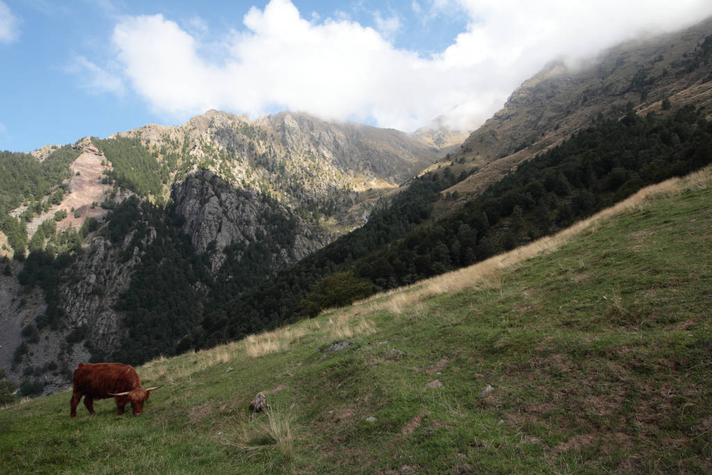 Highlander of Legnone