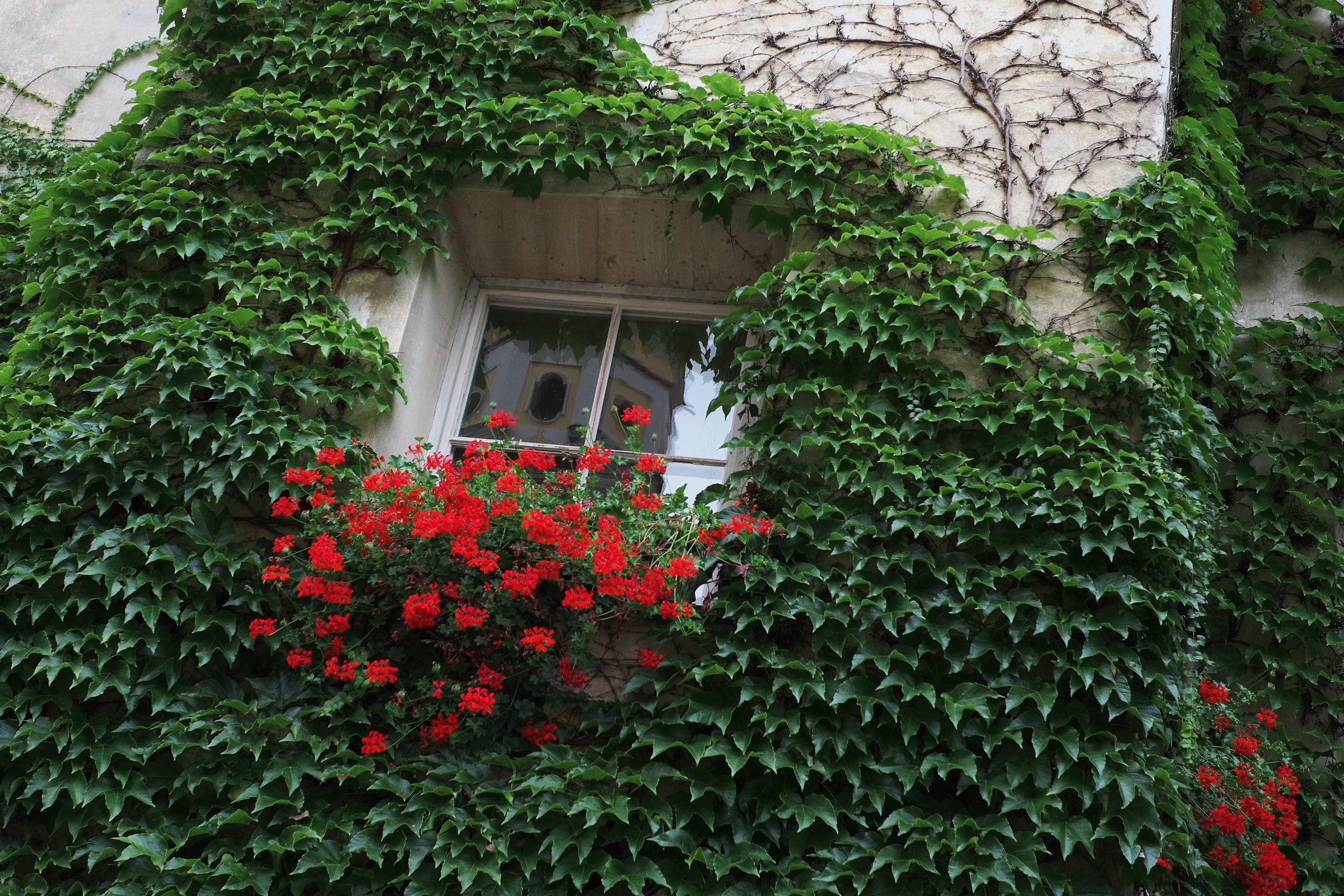 Reflections at the window