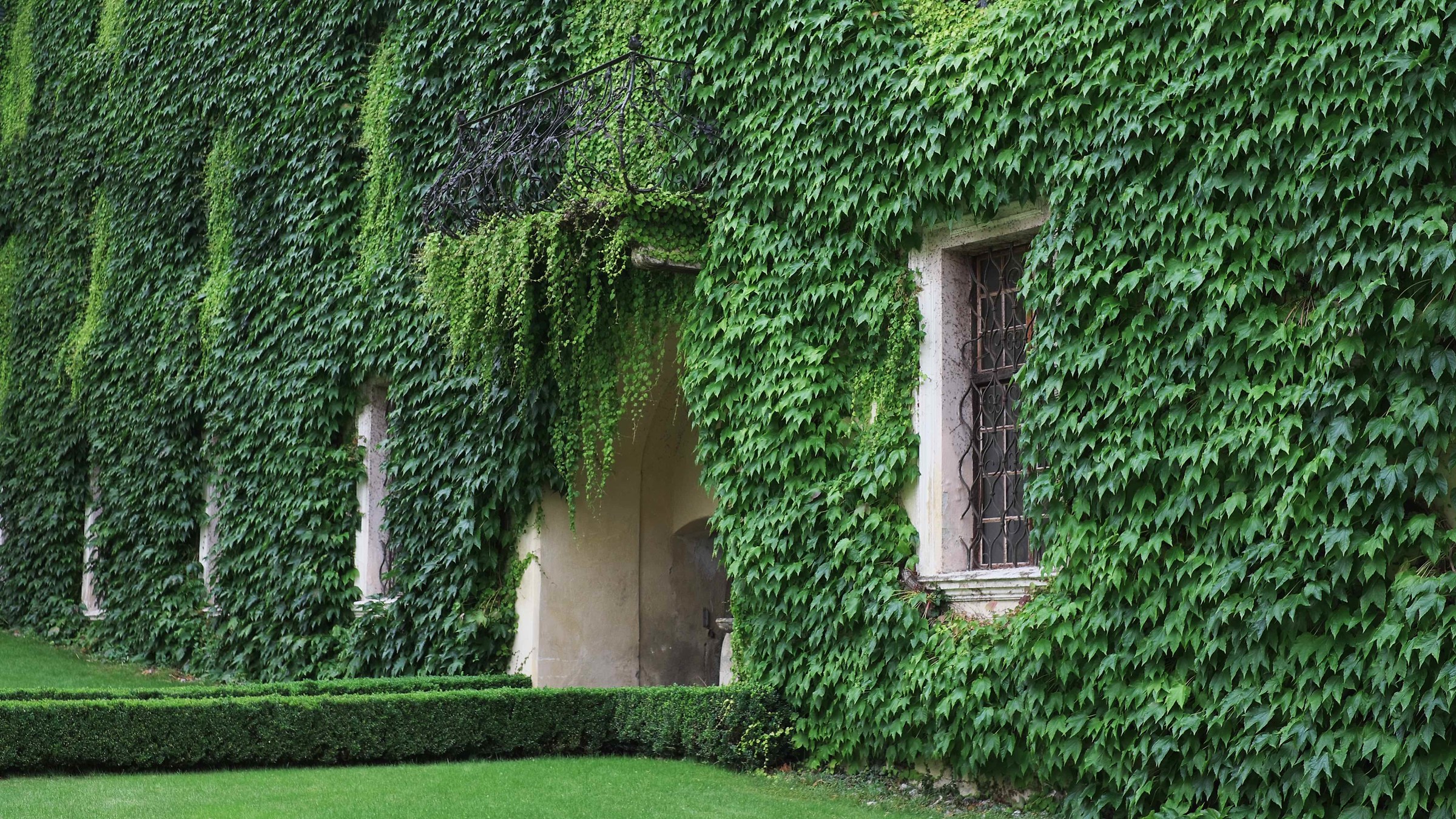 In the garden of the Abbey