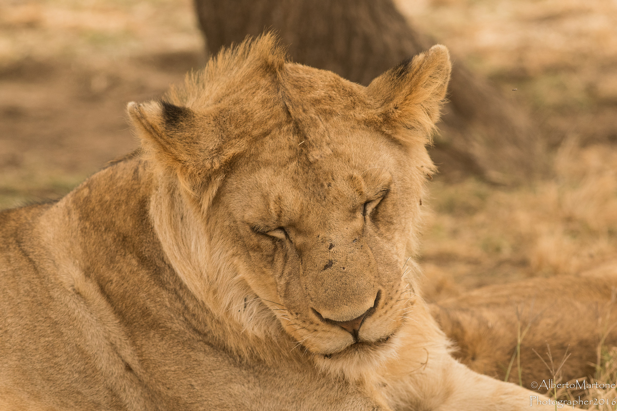 I'm too tired !!!!!!!!