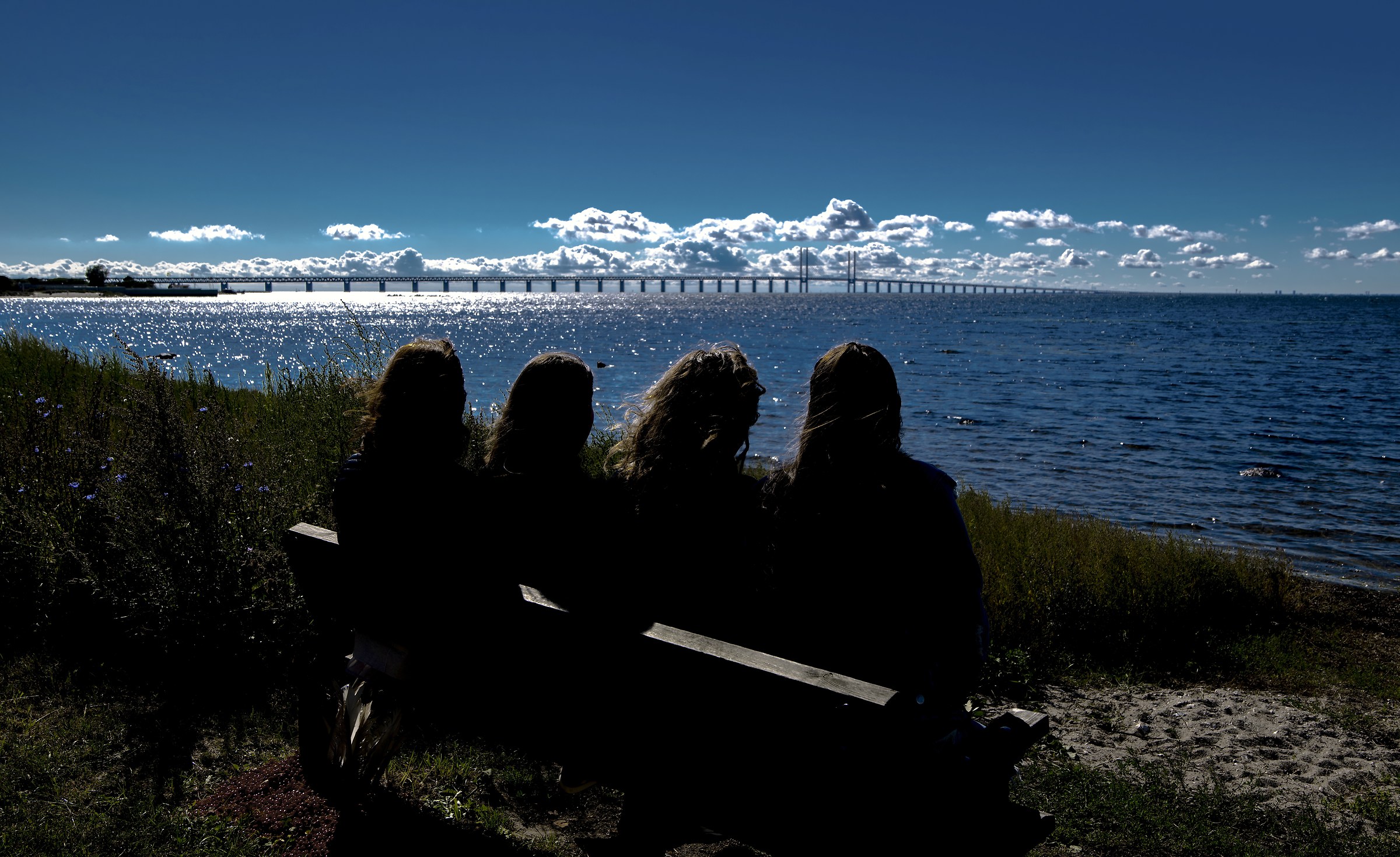 Öresund "The bridge of the Fireflies"