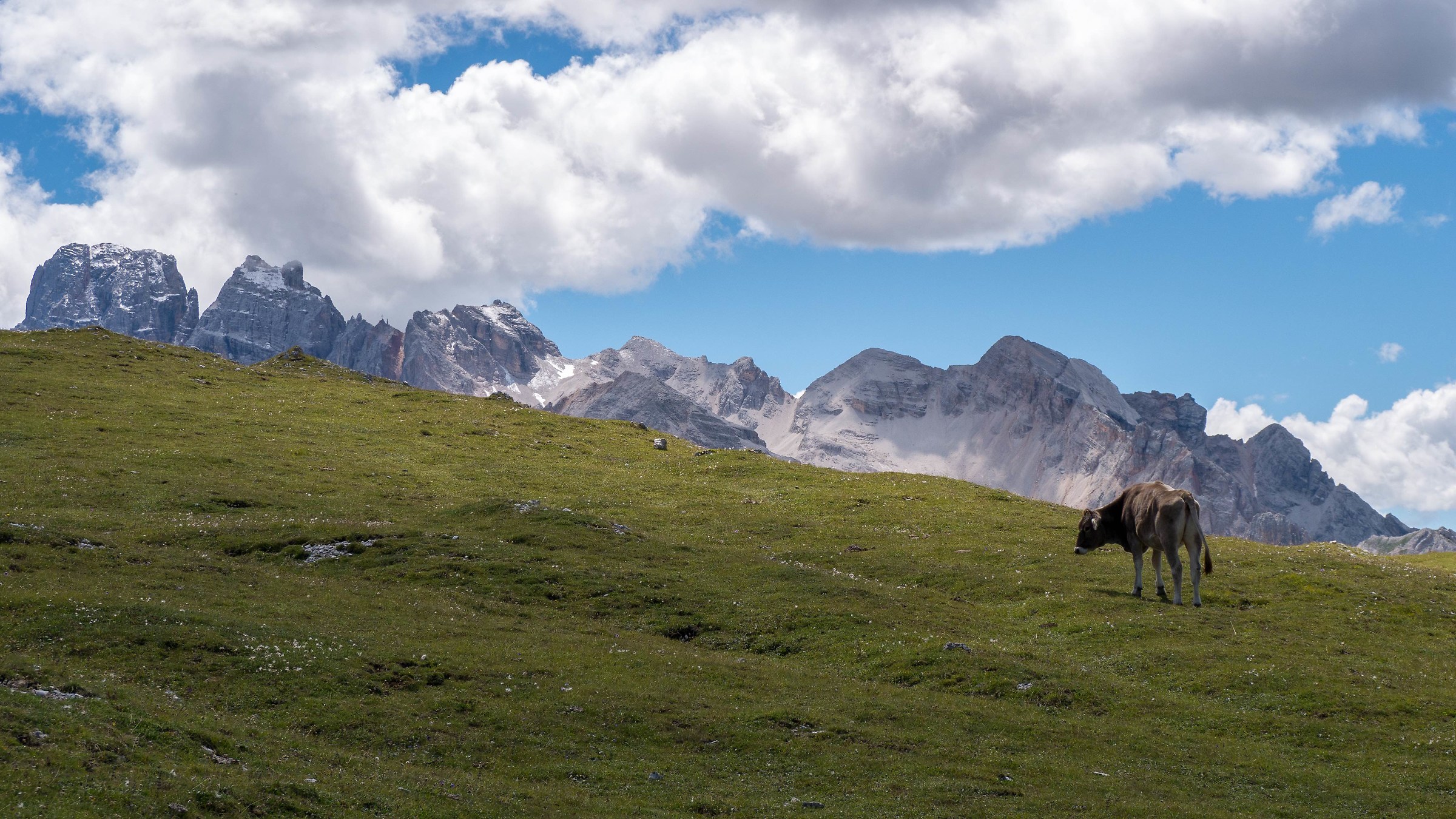 The solitary pasture