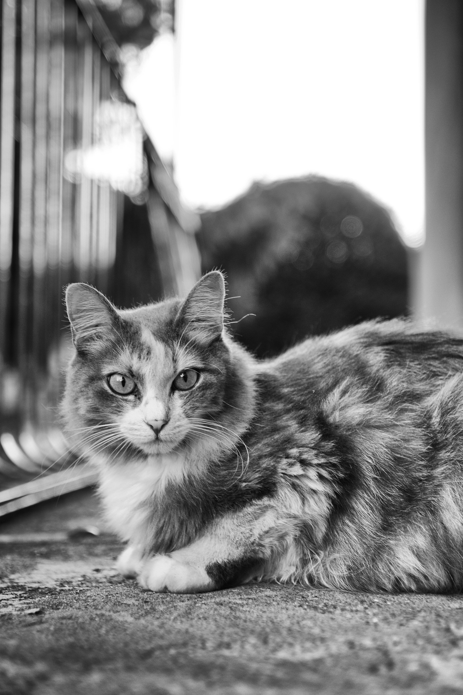 what are you looking at?