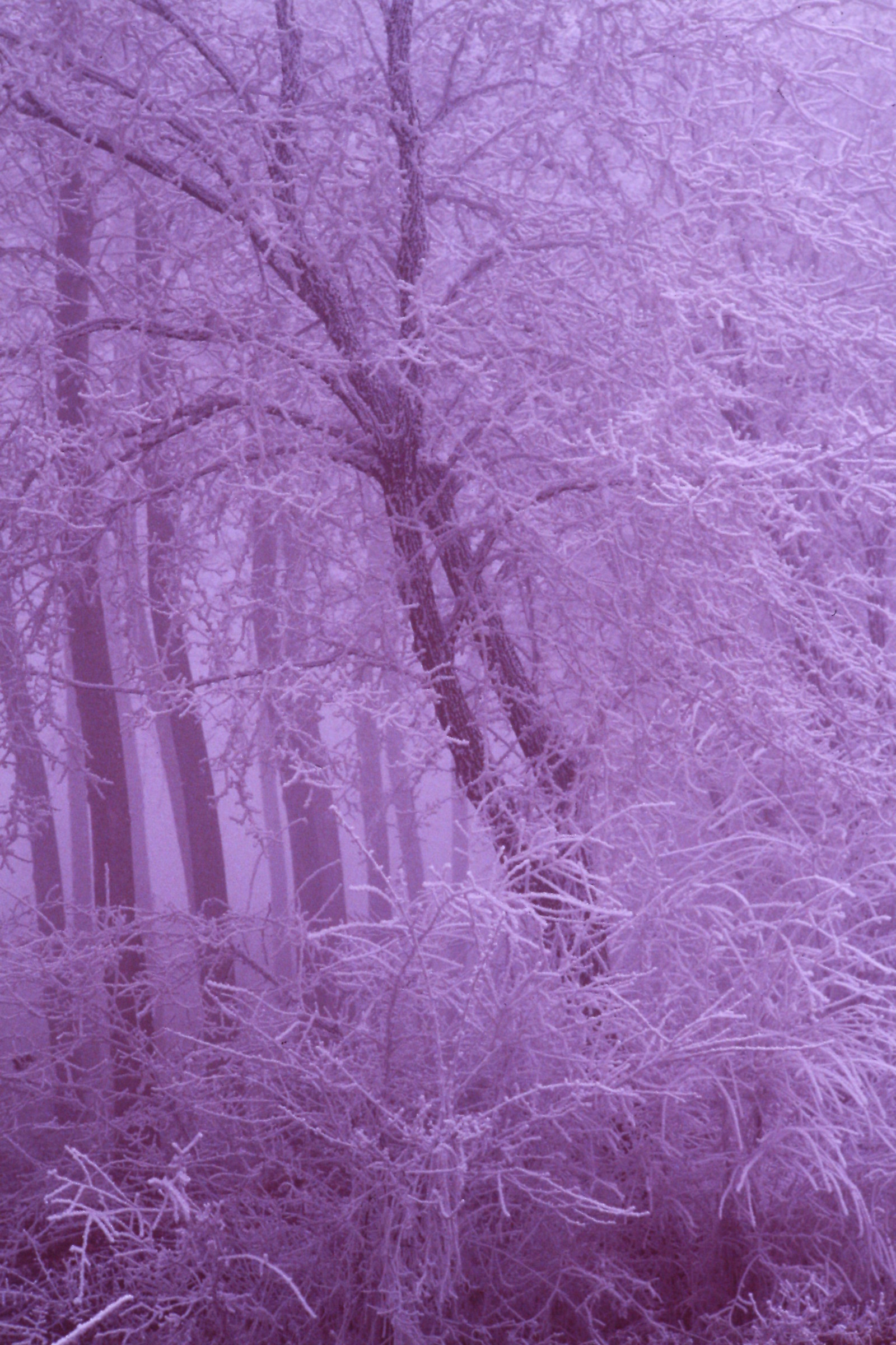 Winters than once. Cold and fog.