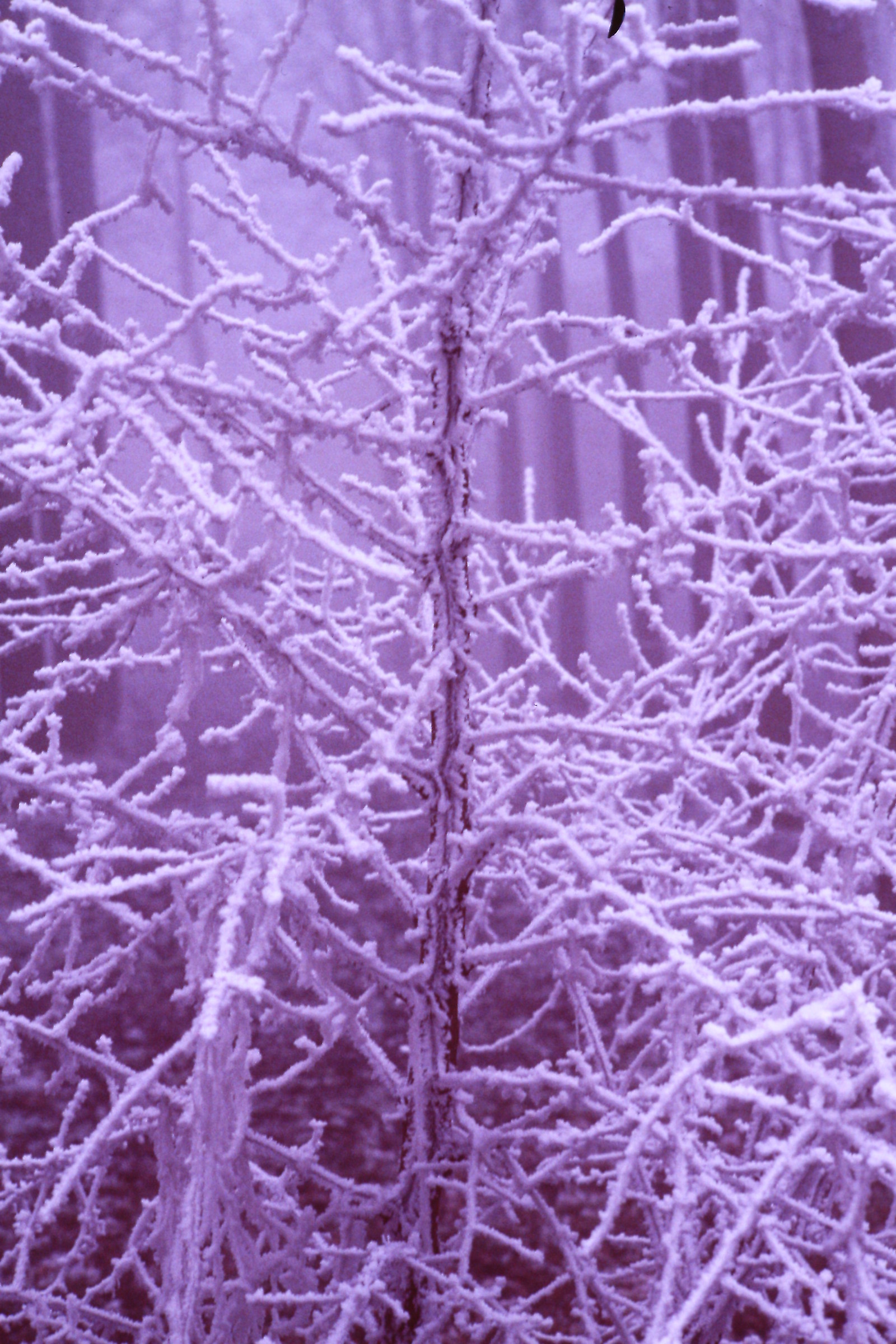 Winters than once. cold and fog.