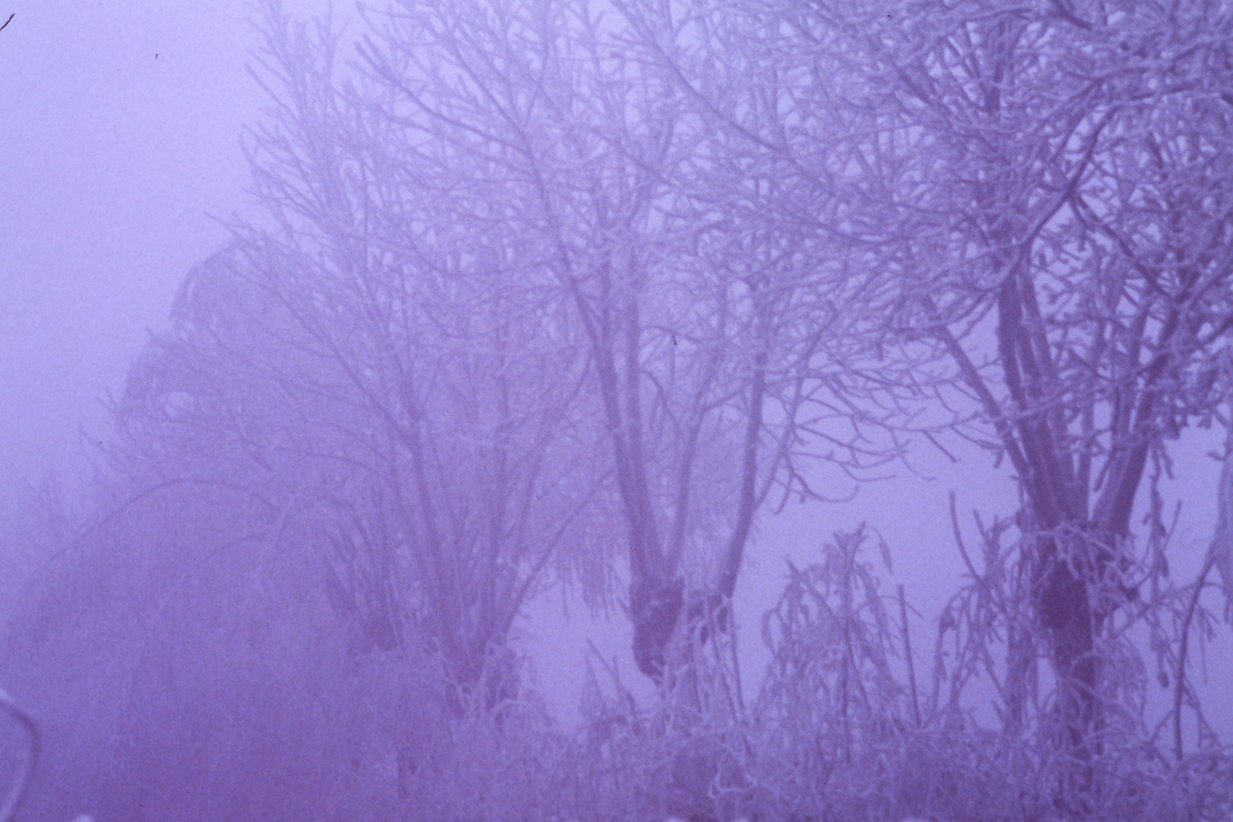 Winters than once. Cold and fog.