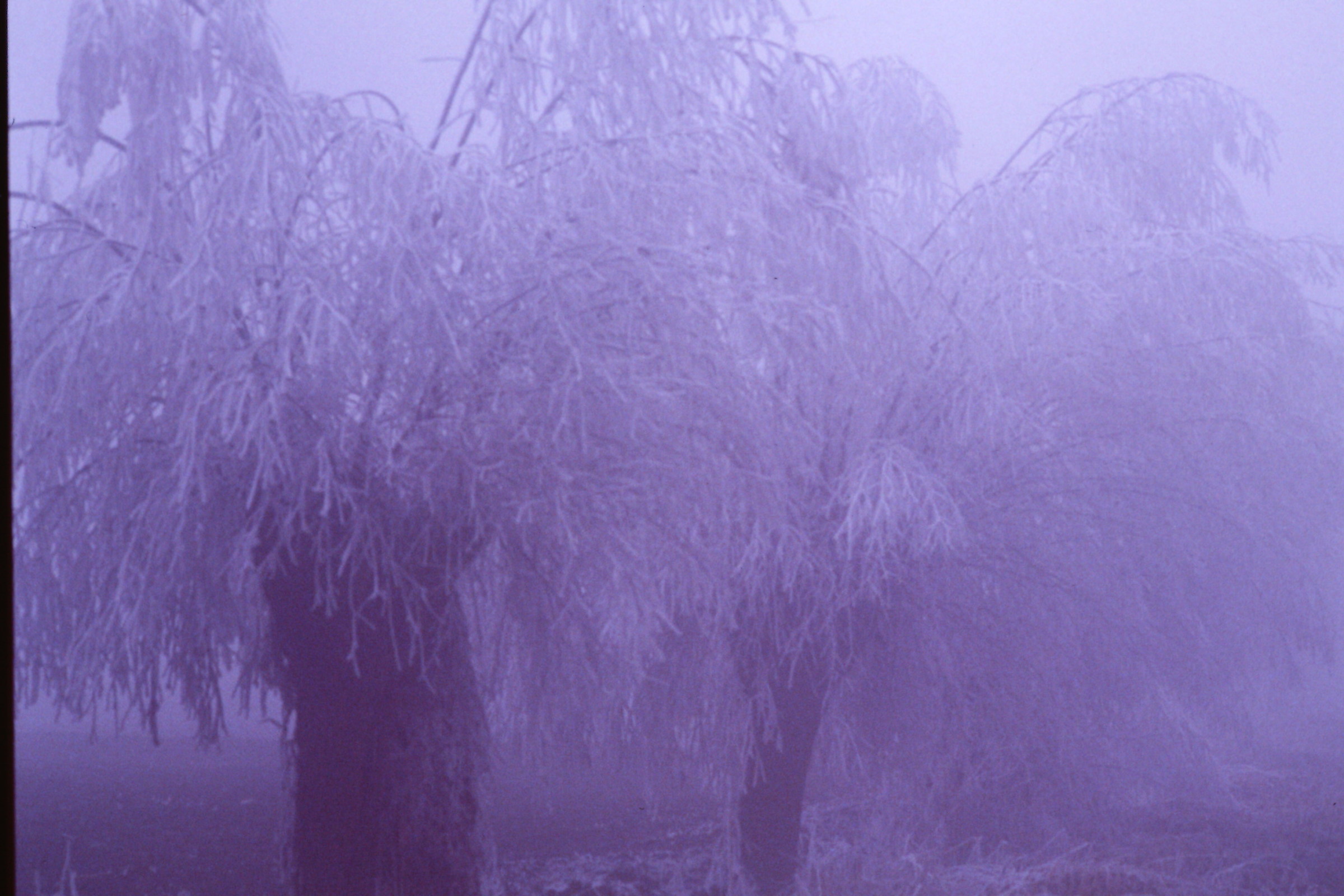 Winters than once. Cold and fog.