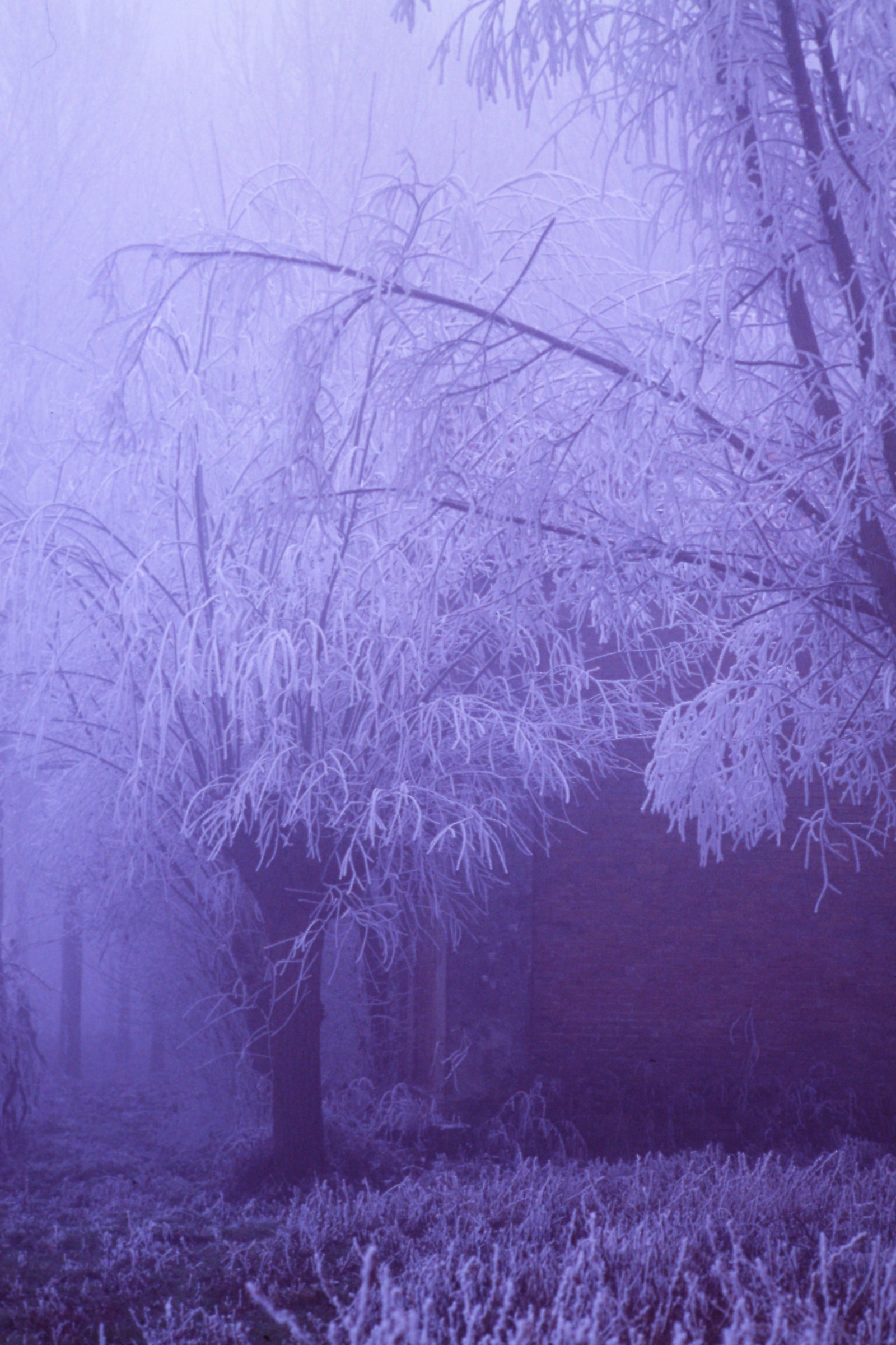 Winters than once. Cold and fog.