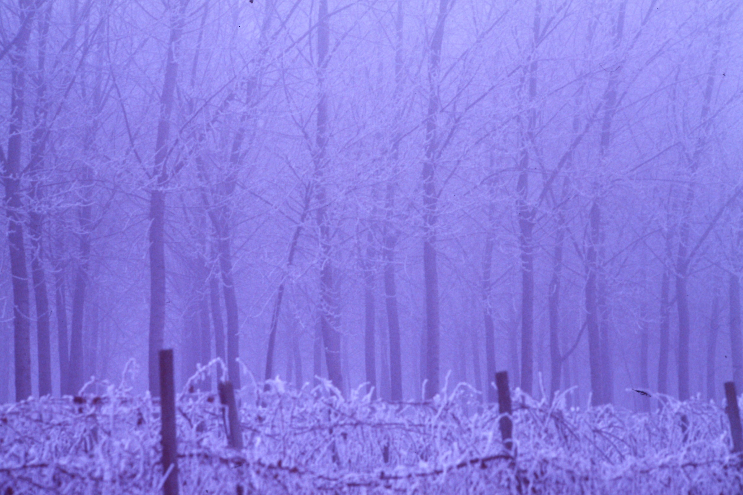 Winters than once. Cold and fog.