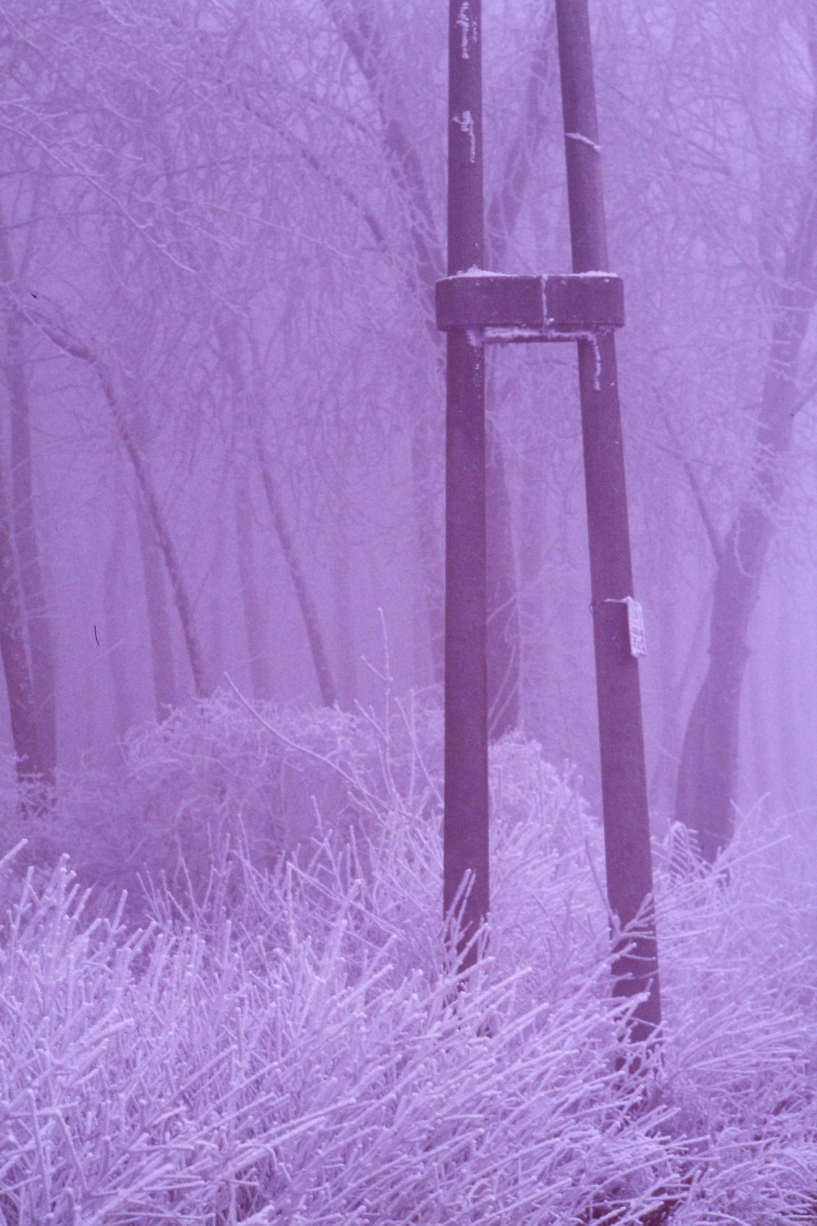 Winters than once. Cold and fog.