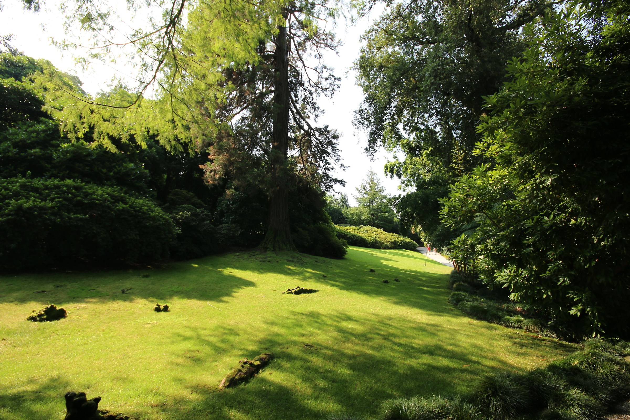 Botanical Gardens Isola Madre