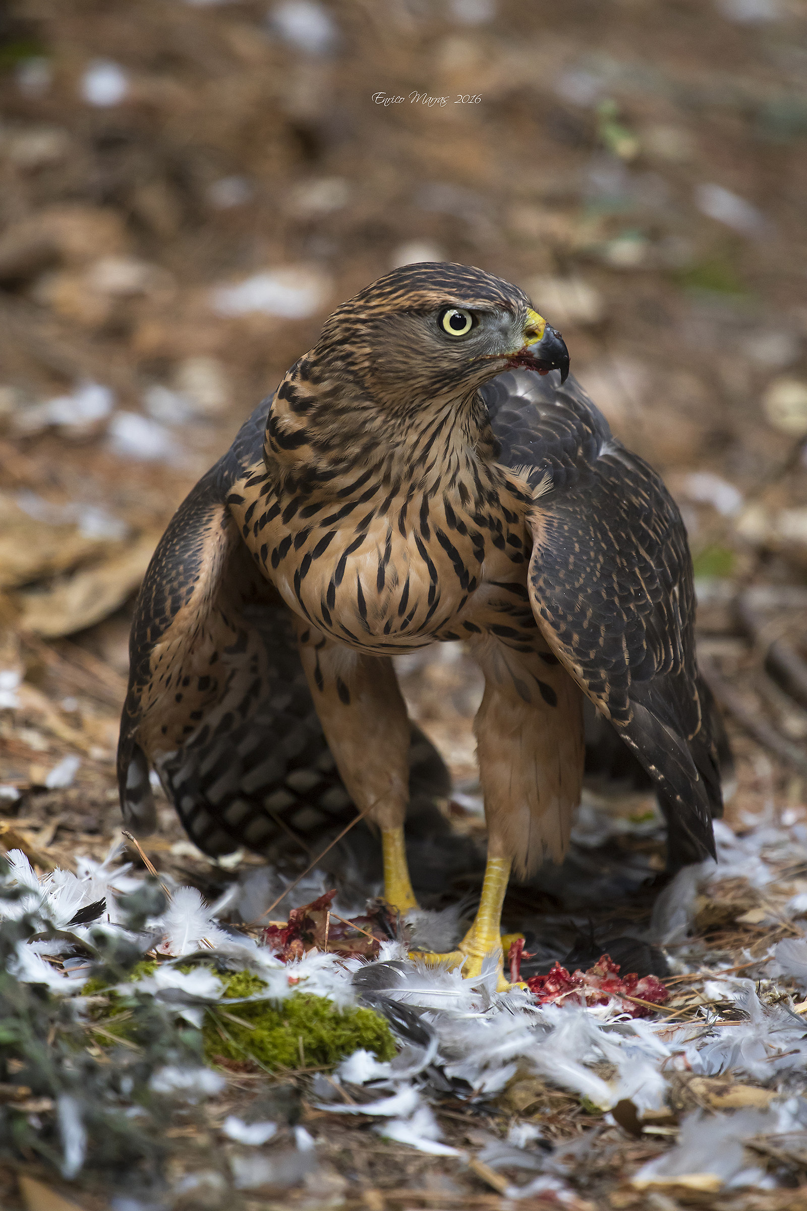 The snack of small ghost