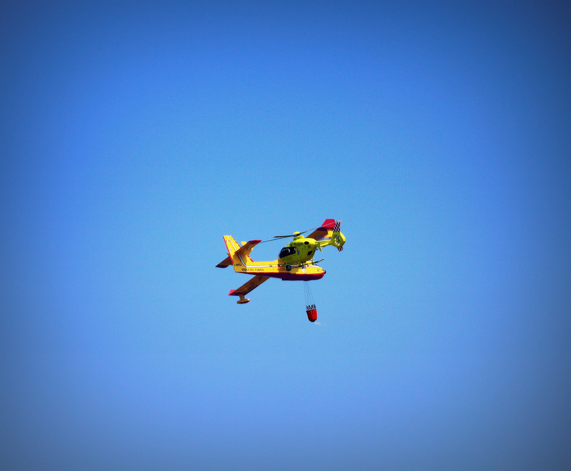 that optical illusion