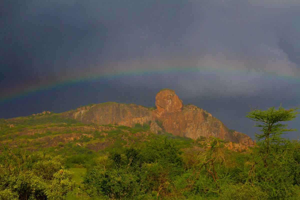 Samburu landscape