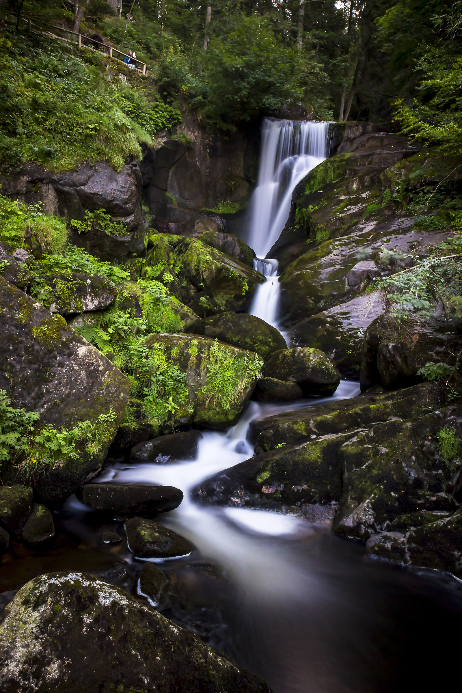 Nature ... what else?