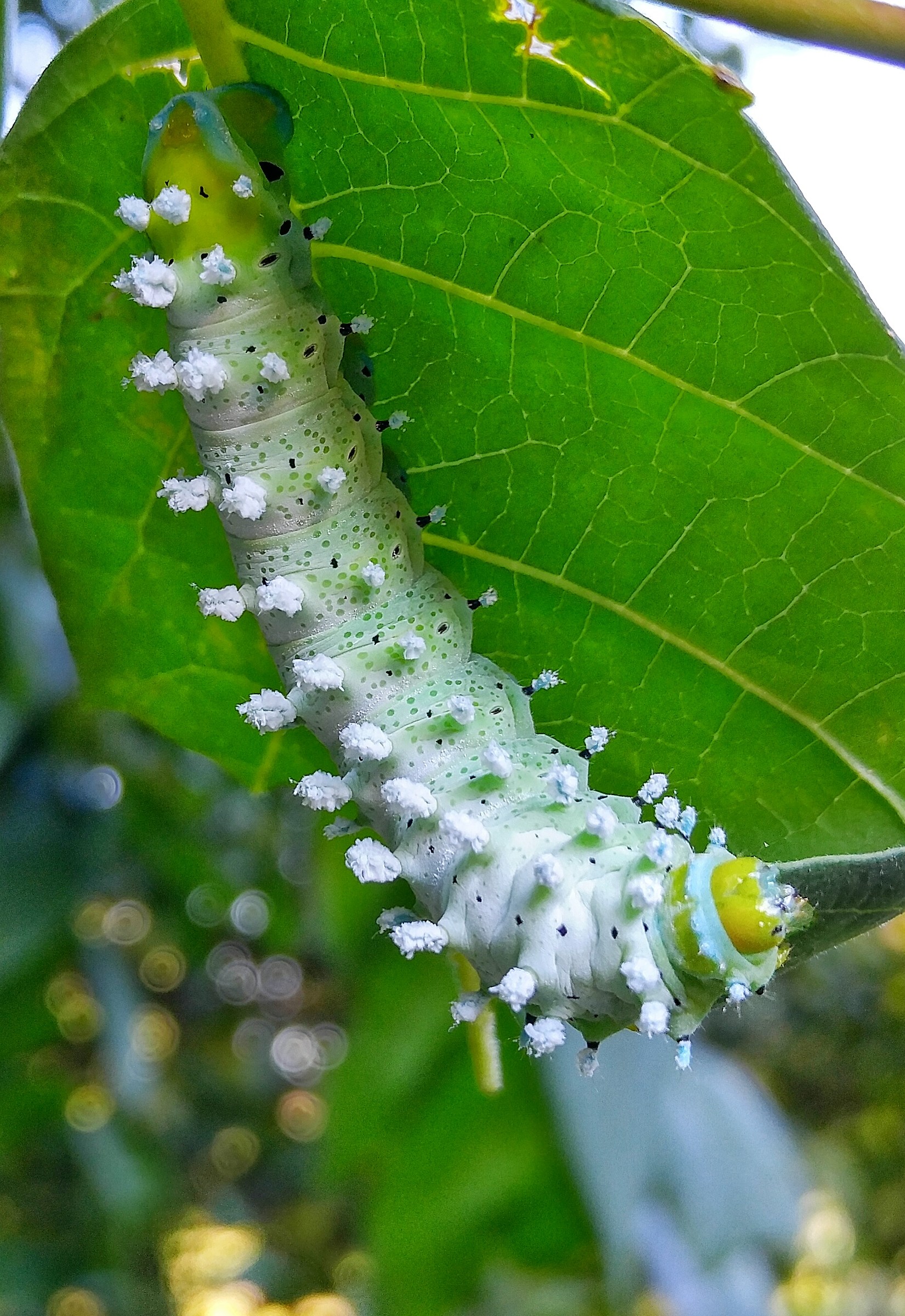 Friendly meetings ..