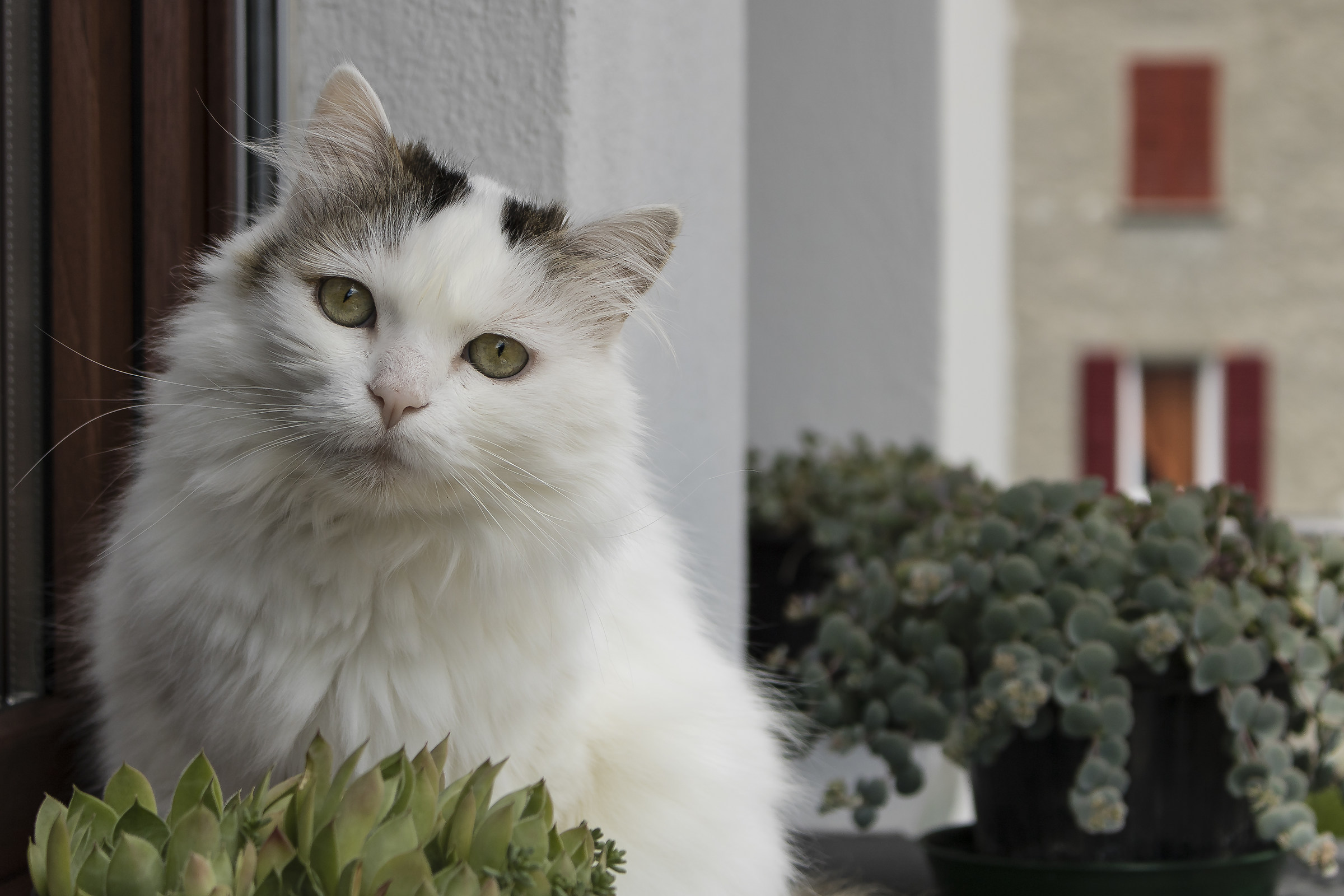 Infinitamente triste