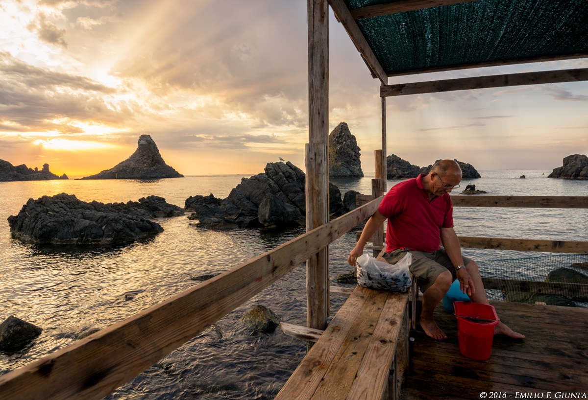 Clean the mussels dawn