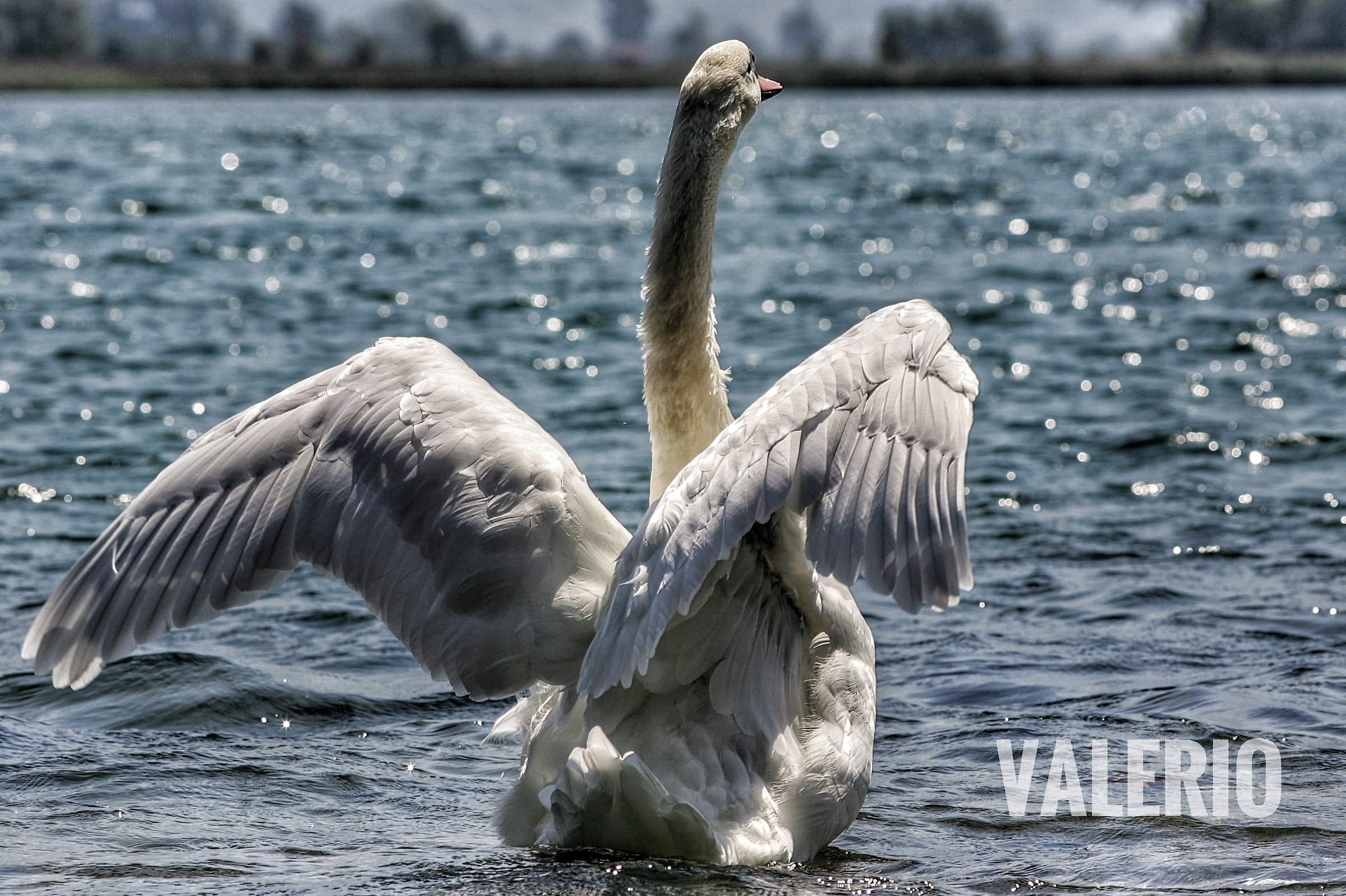 Uno sguardo verso l'orizzonte