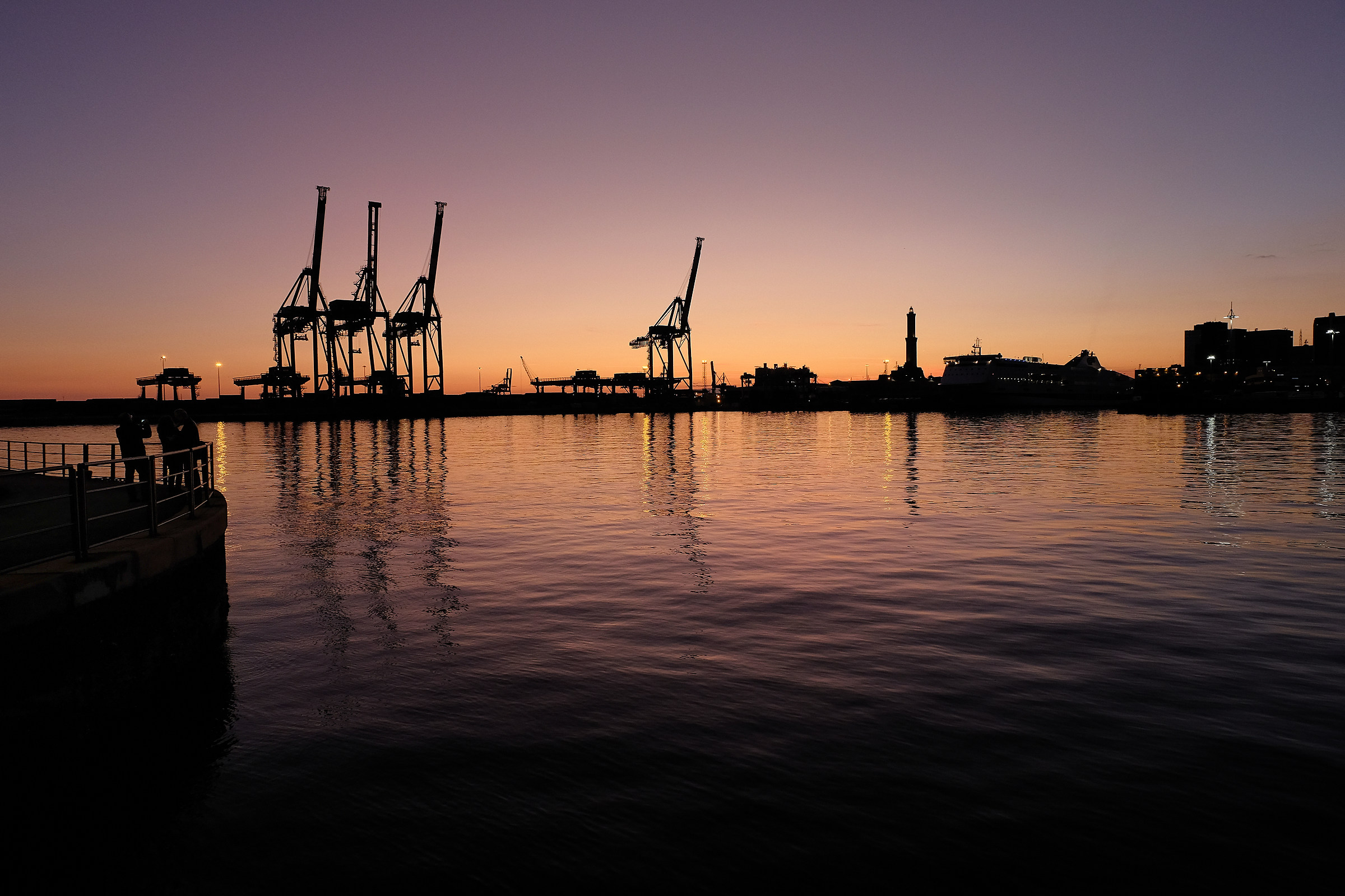 giraffes at sunset genoa