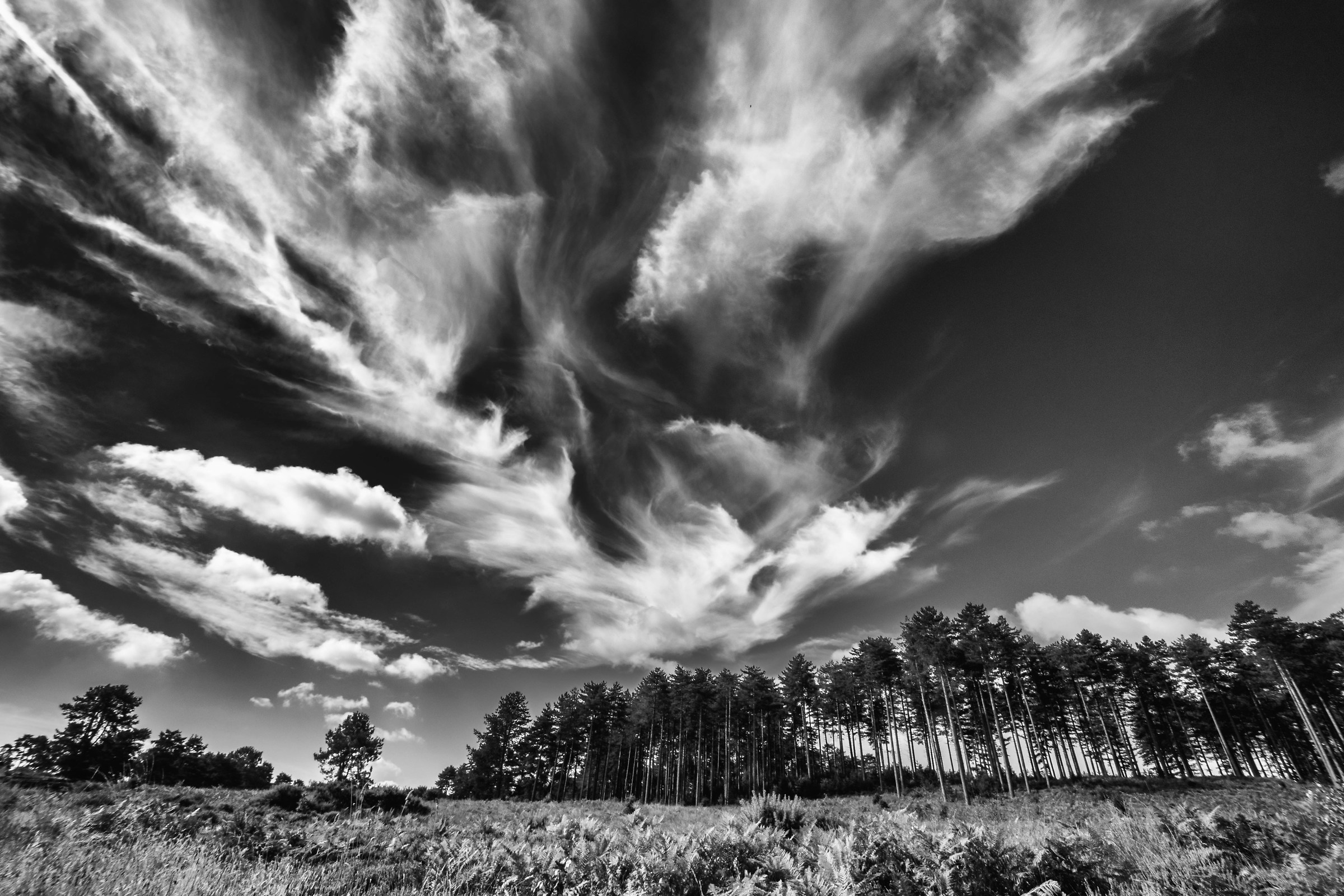 Come Fiamme attraverso il cielo