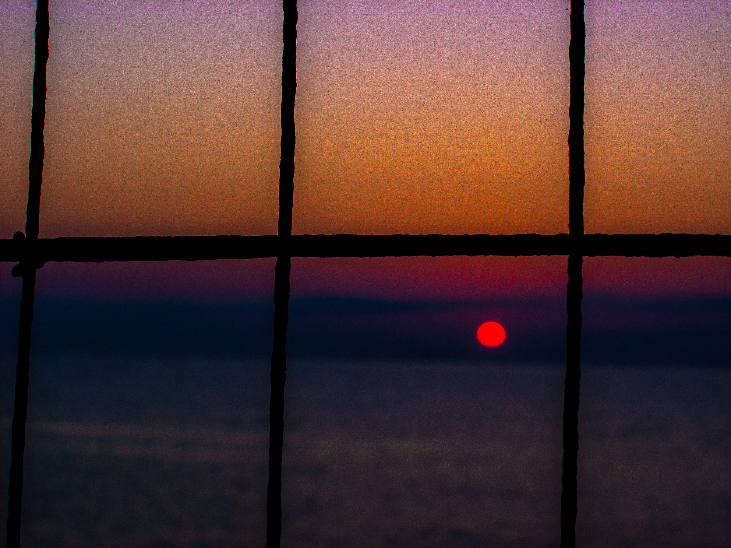 The sun in the network