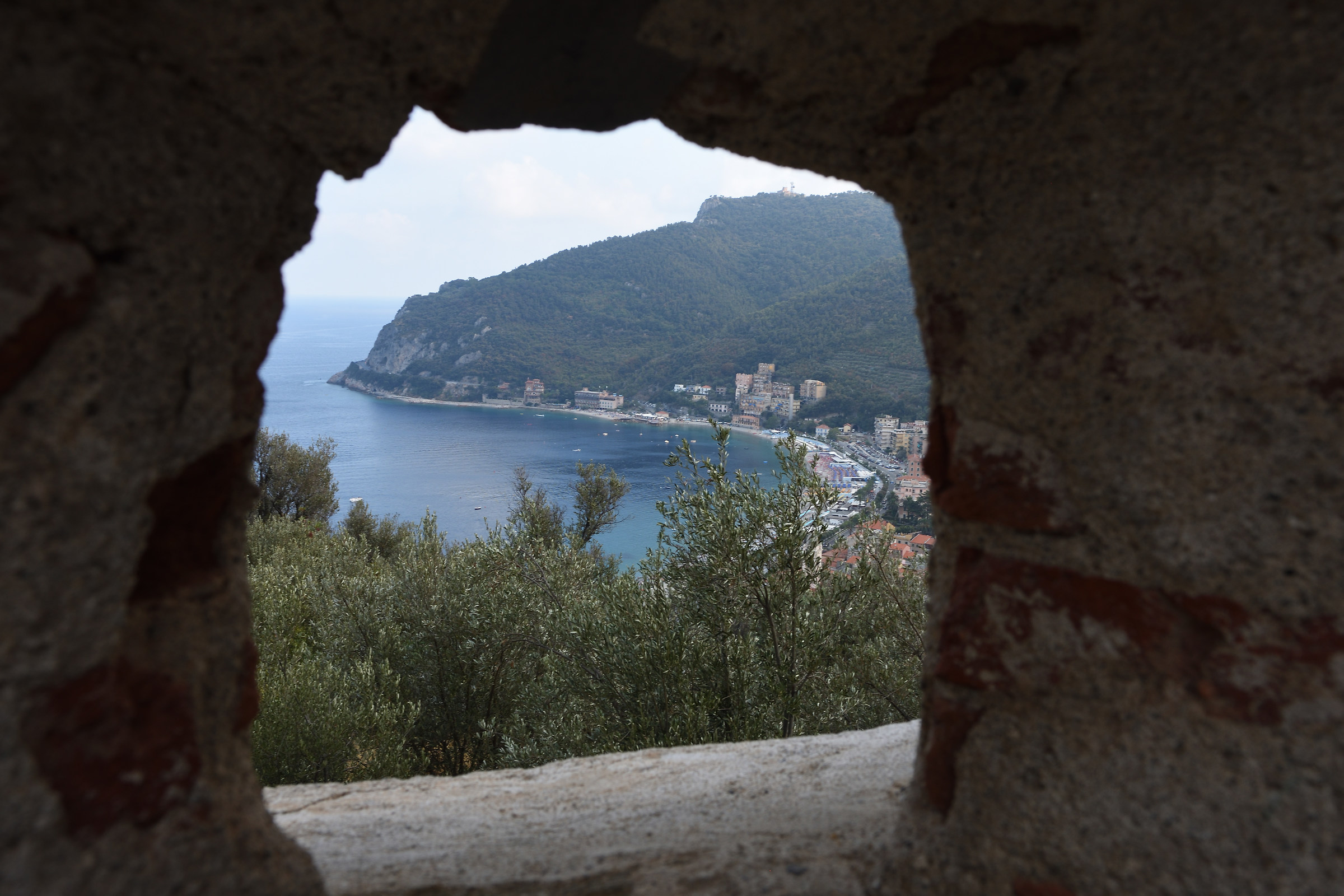 Noli through a window